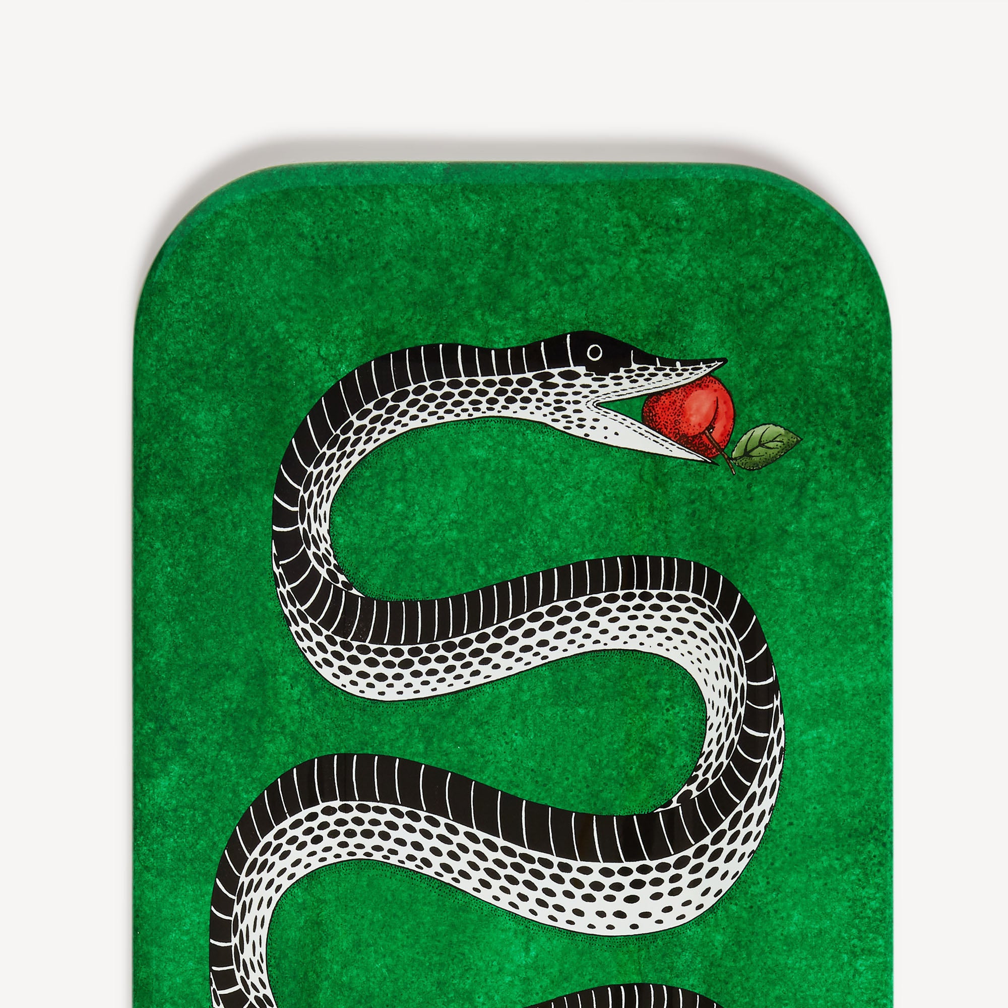 atelier-fornasetti-serpente-tablett-deko-schlangenmotiv image 4