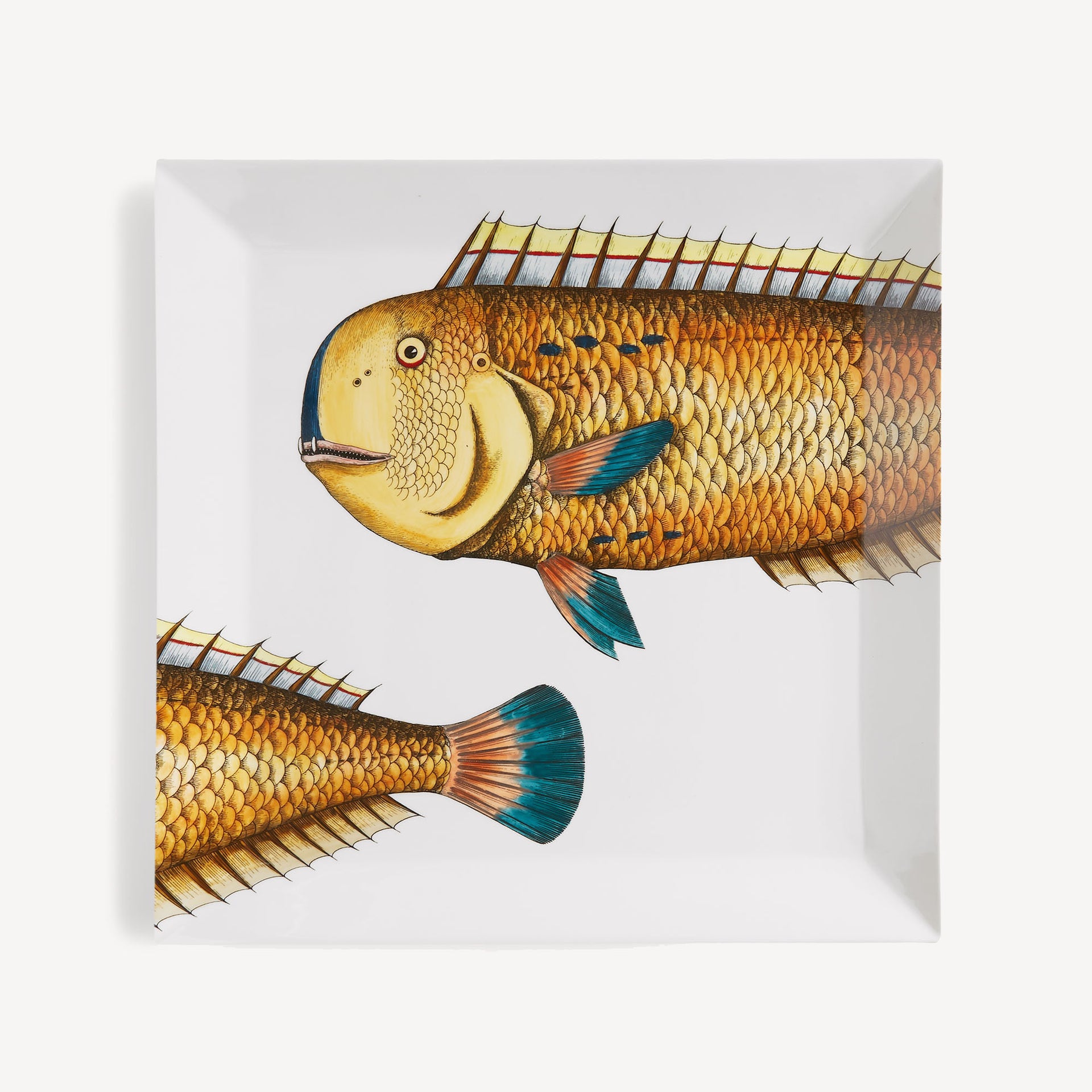 fornasetti-pesce-lampuga-tablett-quadratisch-fisch image 1