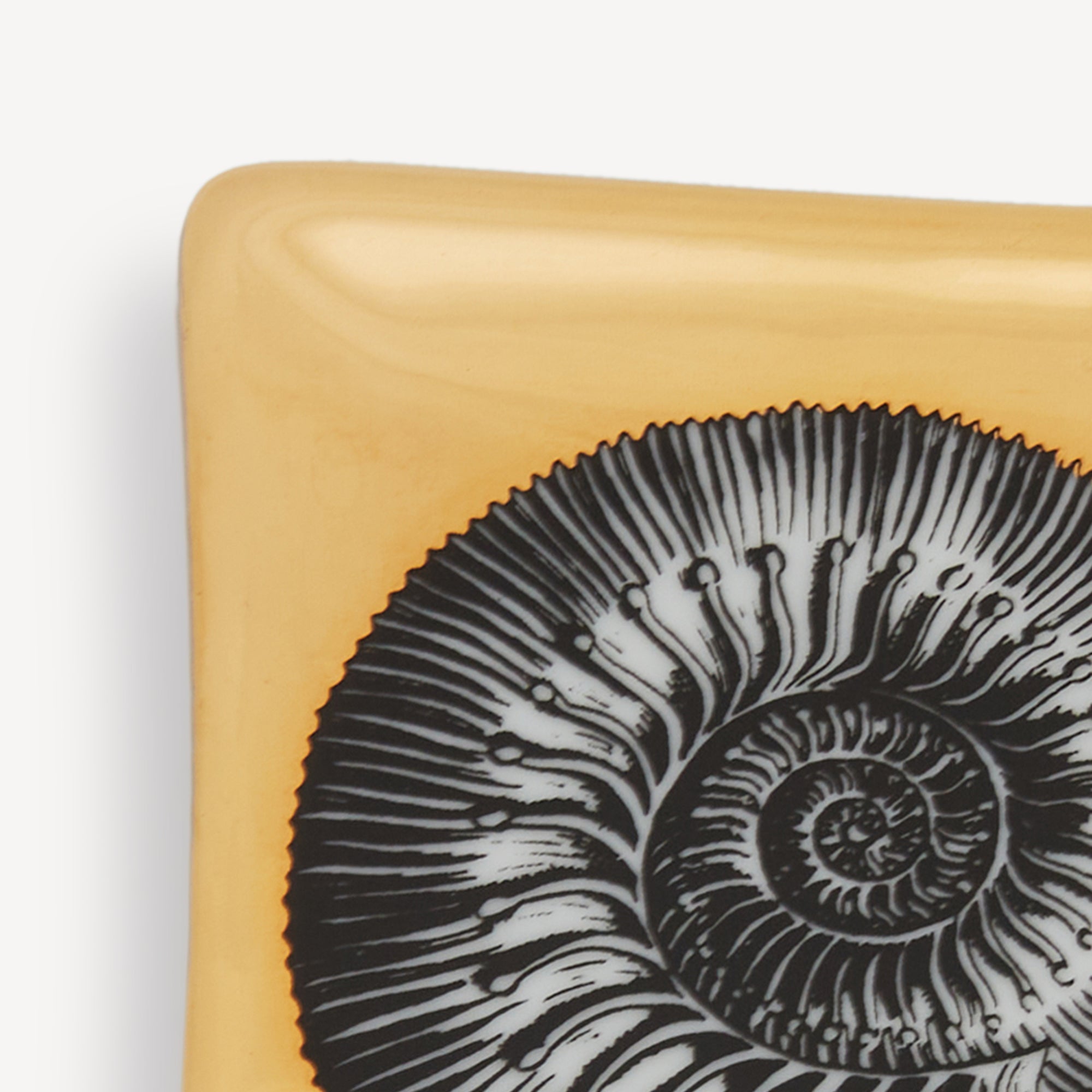atelier-fornasetti-giro-di-conchiglie-aschenbecher-schale-gold image 4
