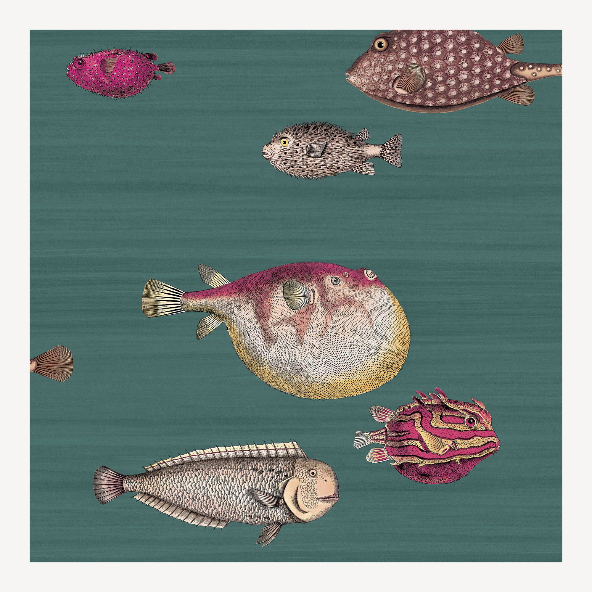 atelier-fornasetti-acquario-tapete-fisch-68-5cm-x-10m-2 image 1