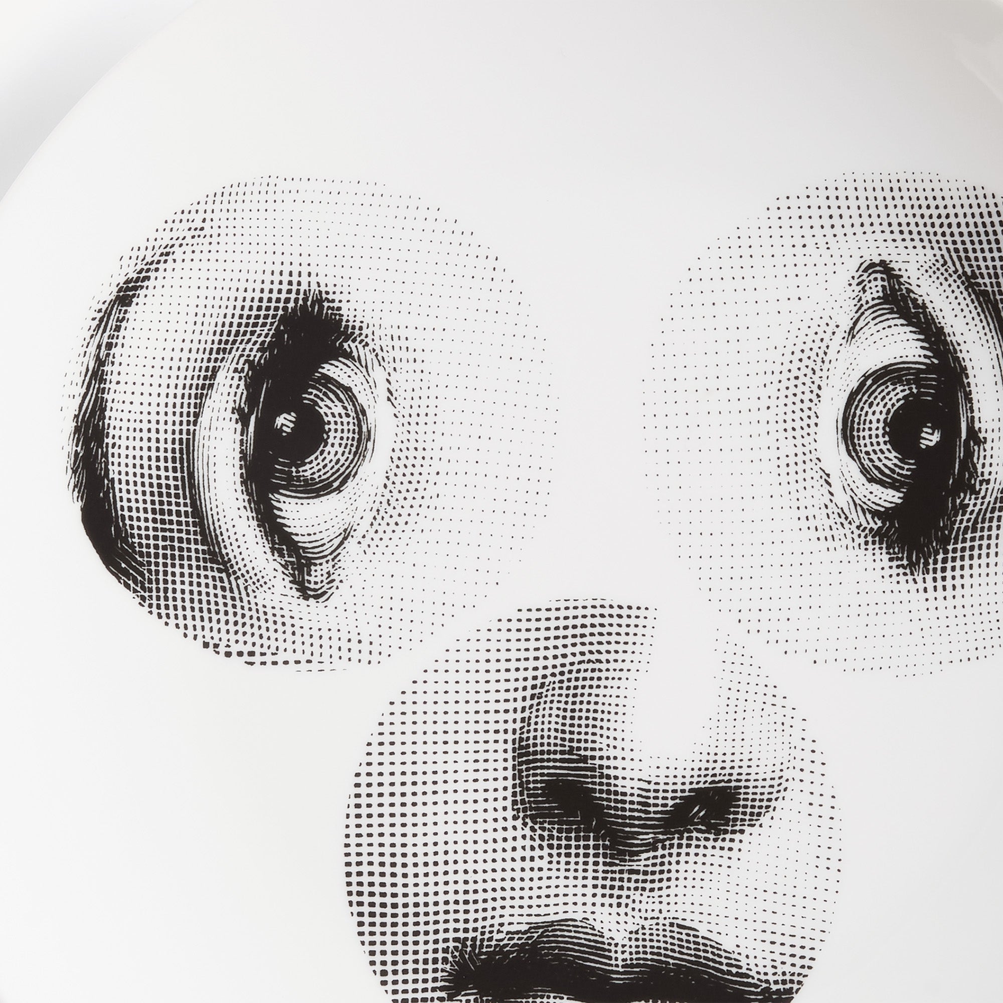 atelier-fornasetti-tema-e-variazioni-wandteller-nr-40-porzellan image 4
