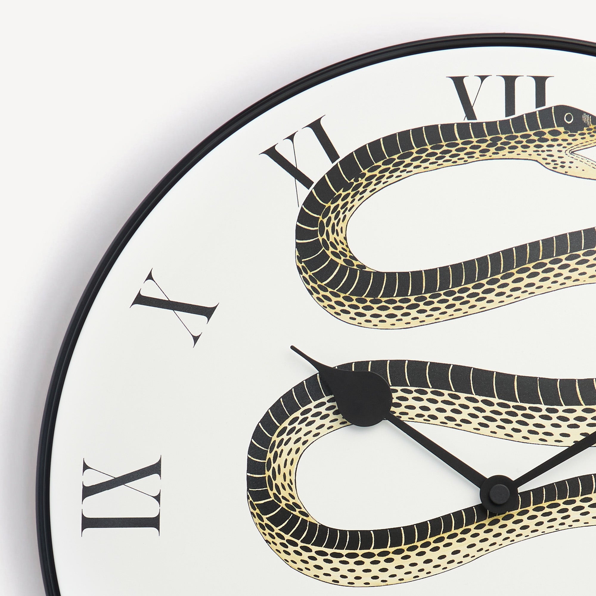 fornasetti-peccato-originale-wanduhr-schlange-metall-lautlos image 2