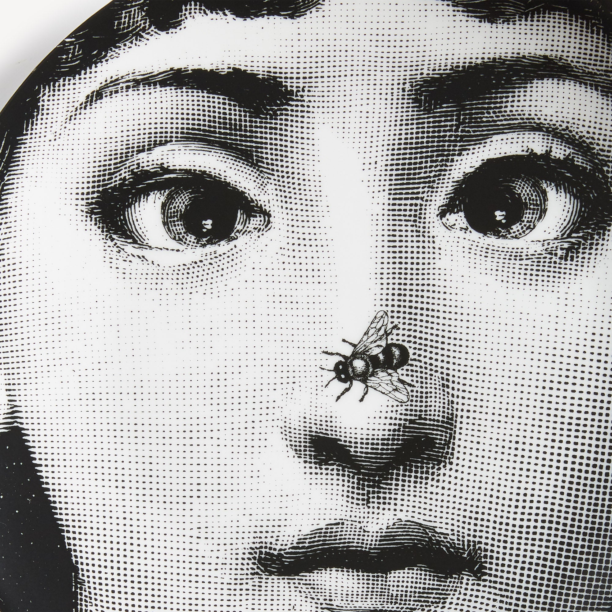atelier-fornasetti-tema-e-variazioni-n-363-wandteller-porzellan image 4