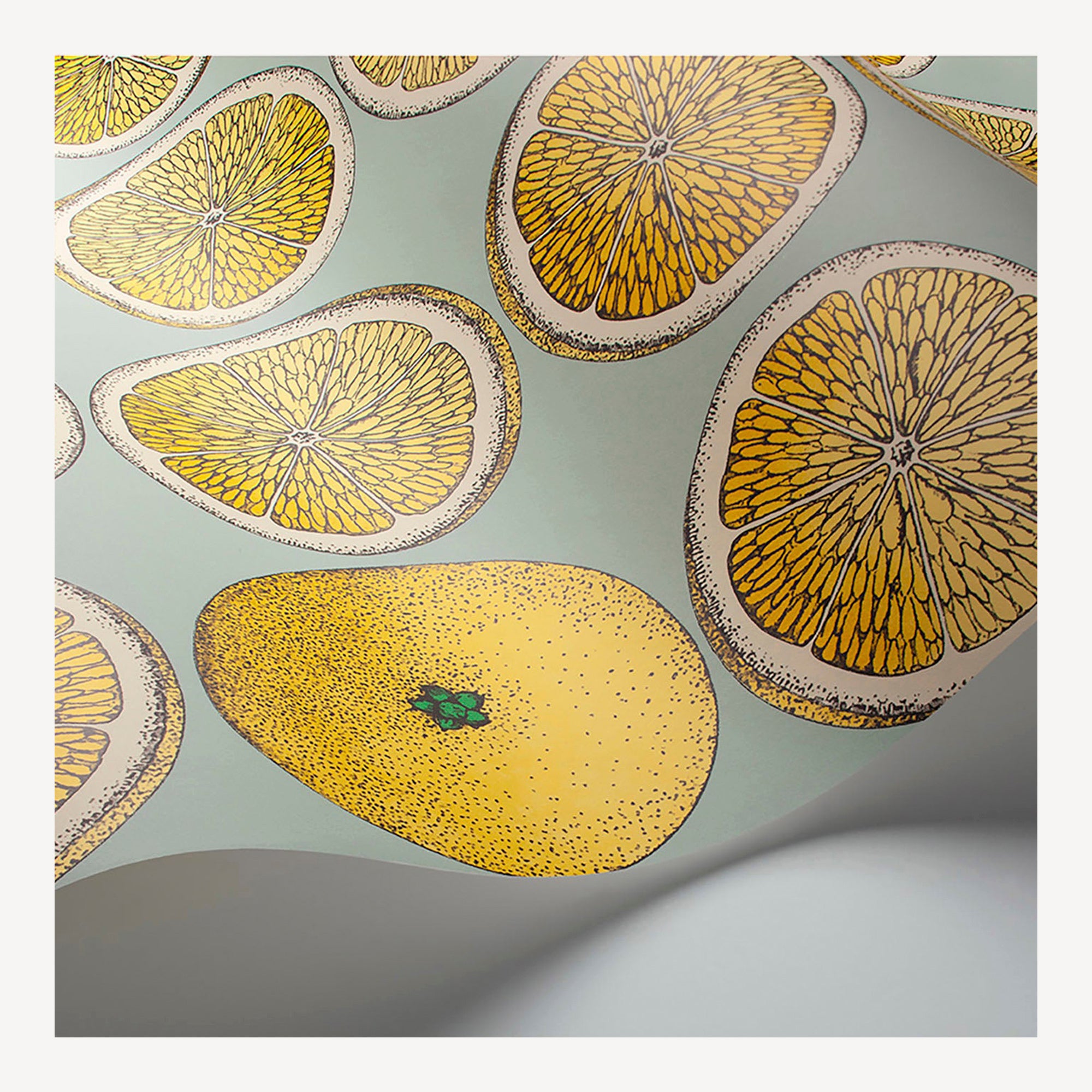 atelier-fornasetti-arance-tapete-52-cm-x-10-m-orange image 4