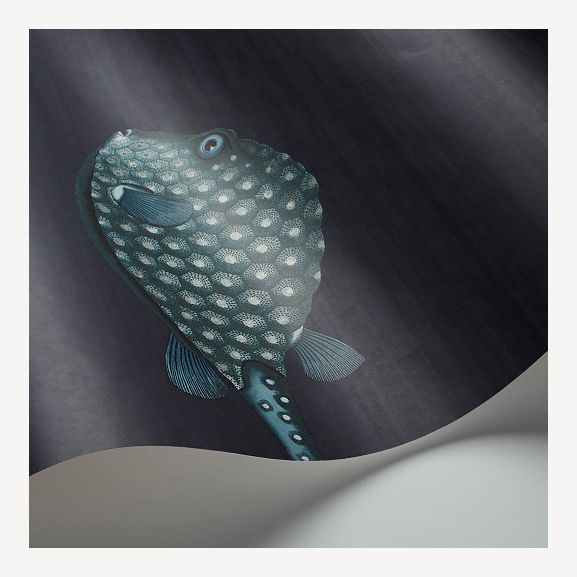 fornasetti-acquario-tapete-fisch-motiv-68-5cm-x-10m image 2