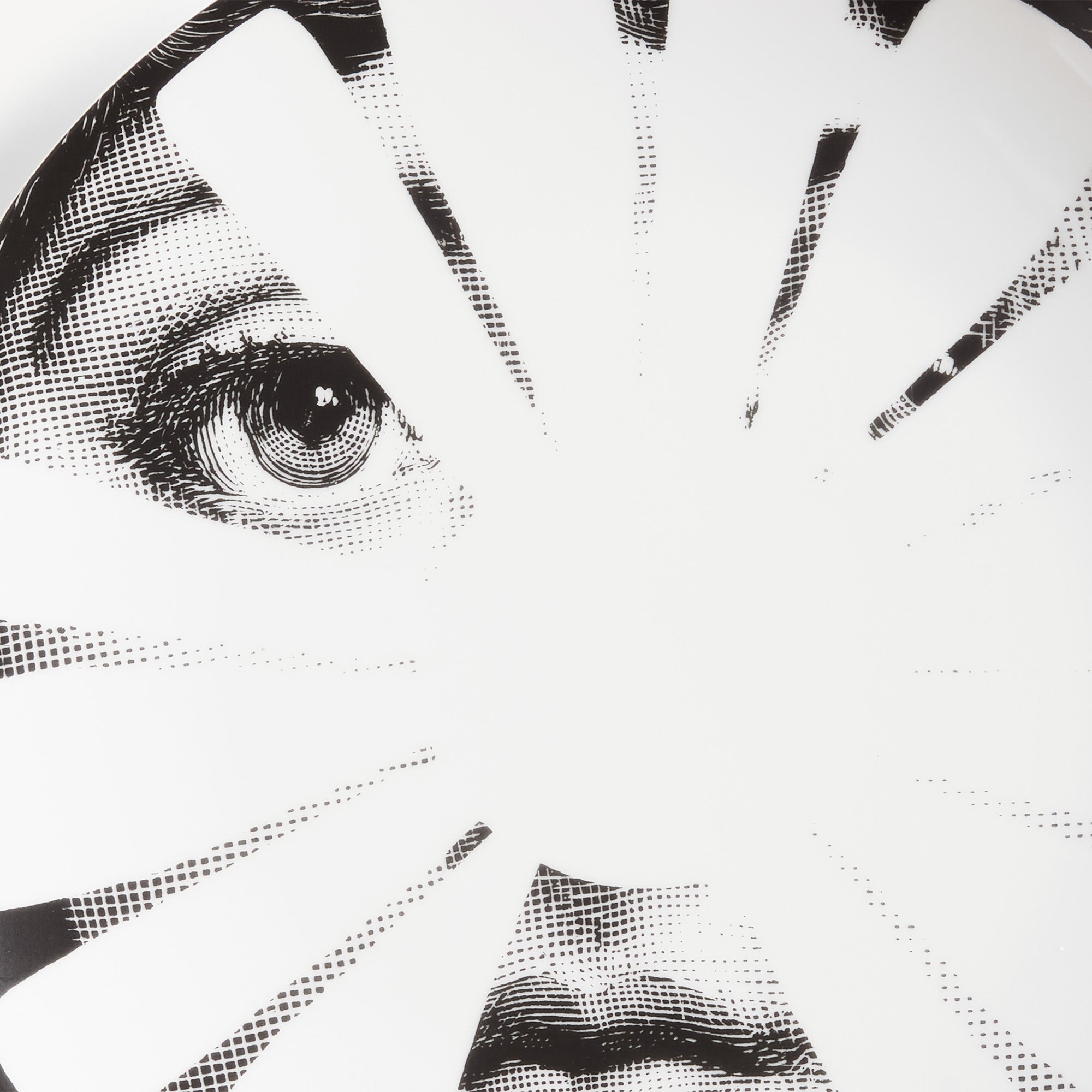 atelier-fornasetti-tema-e-variazioni-n-37-wandteller-porzellan image 4