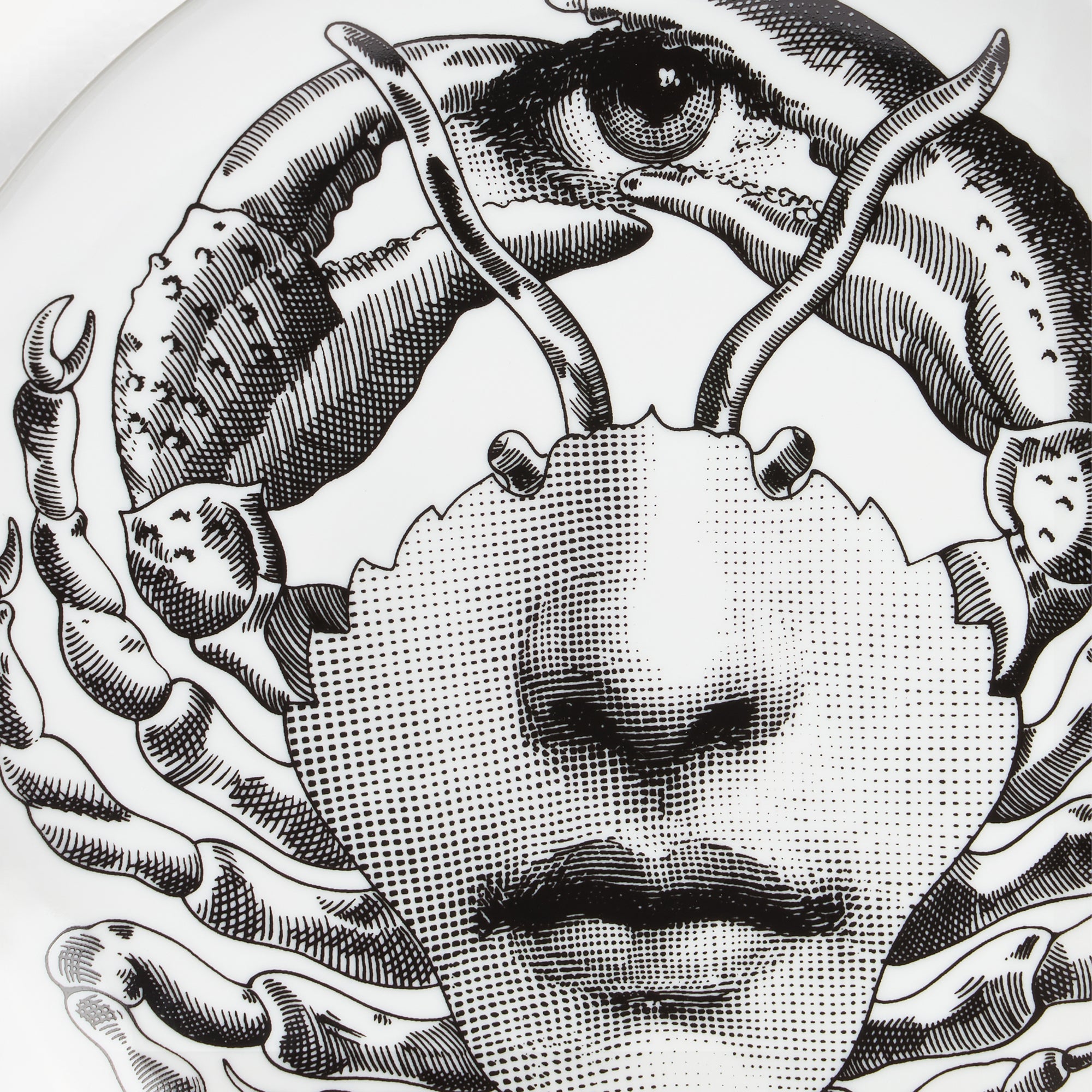 fornasetti-zodiaco-cancer-n-351-wandteller-sternzeichen-krebs image 4
