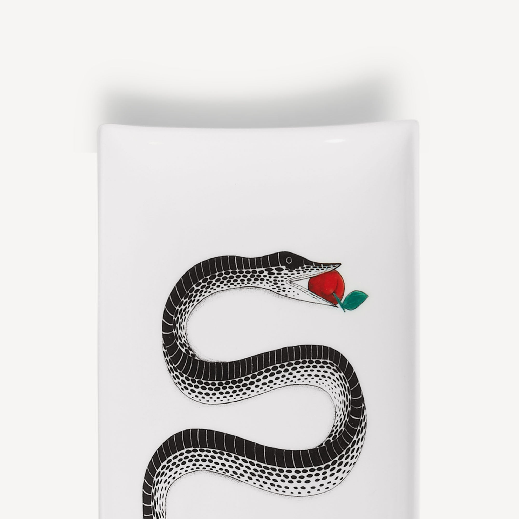 fornasetti-serpente-tablett-rechteckig-schlange-gold-2 image 4