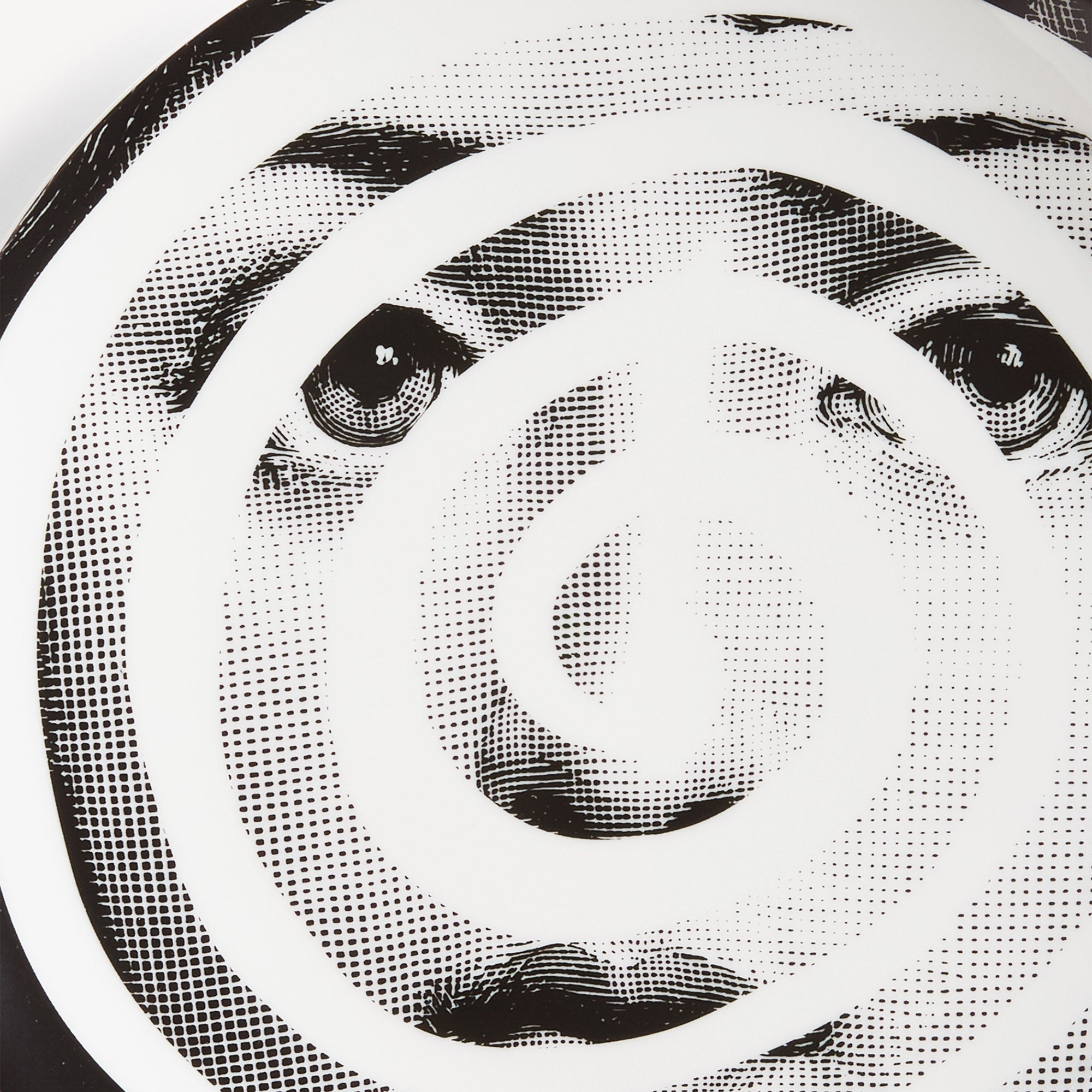 atelier-fornasetti-tema-e-variazioni-n-18-wandteller-porzellan image 4