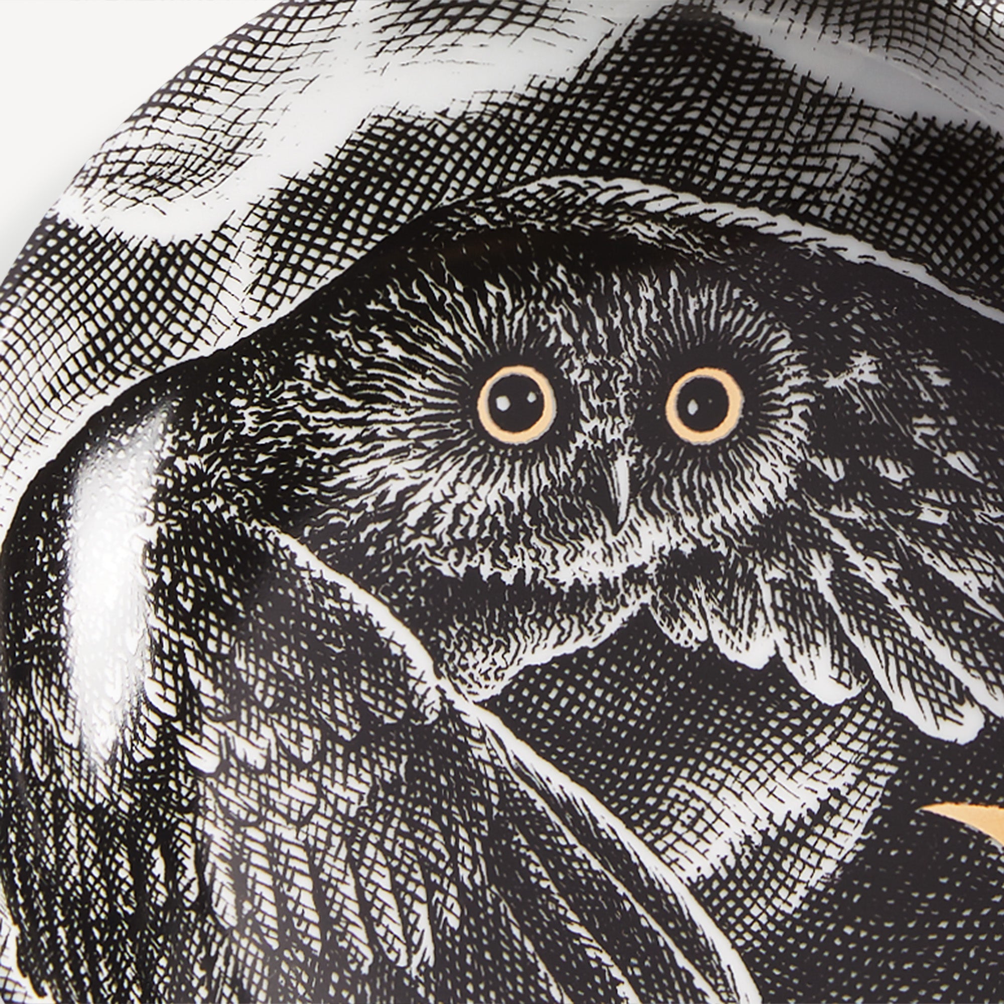 fornasetti-civetta-nella-notte-aschenbecher-eule-gold image 4