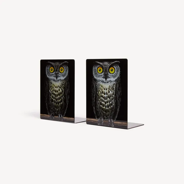 fornasetti-civetta-buchst-tzen-paar-metall-eulen-motiv image 1