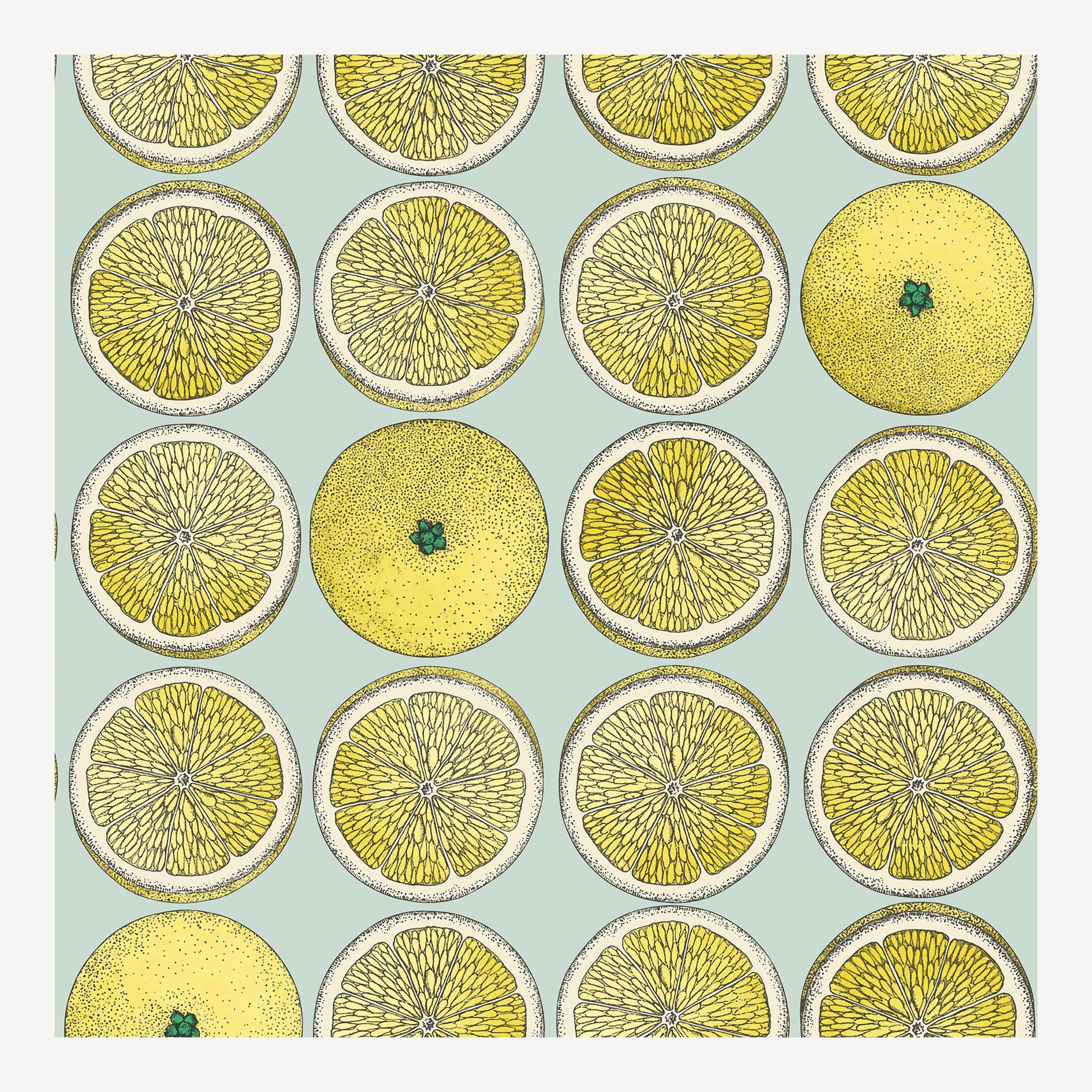 atelier-fornasetti-arance-tapete-52-cm-x-10-m-orange image 1