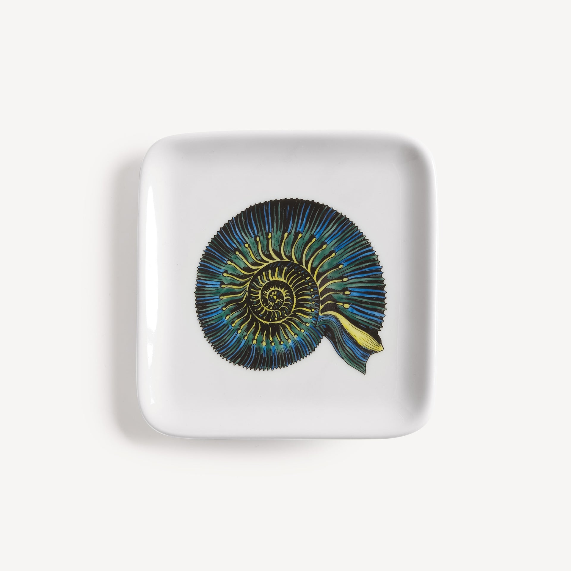 atelier-fornasetti-conchiglia-fossile-aschenbecher-keramik image 1
