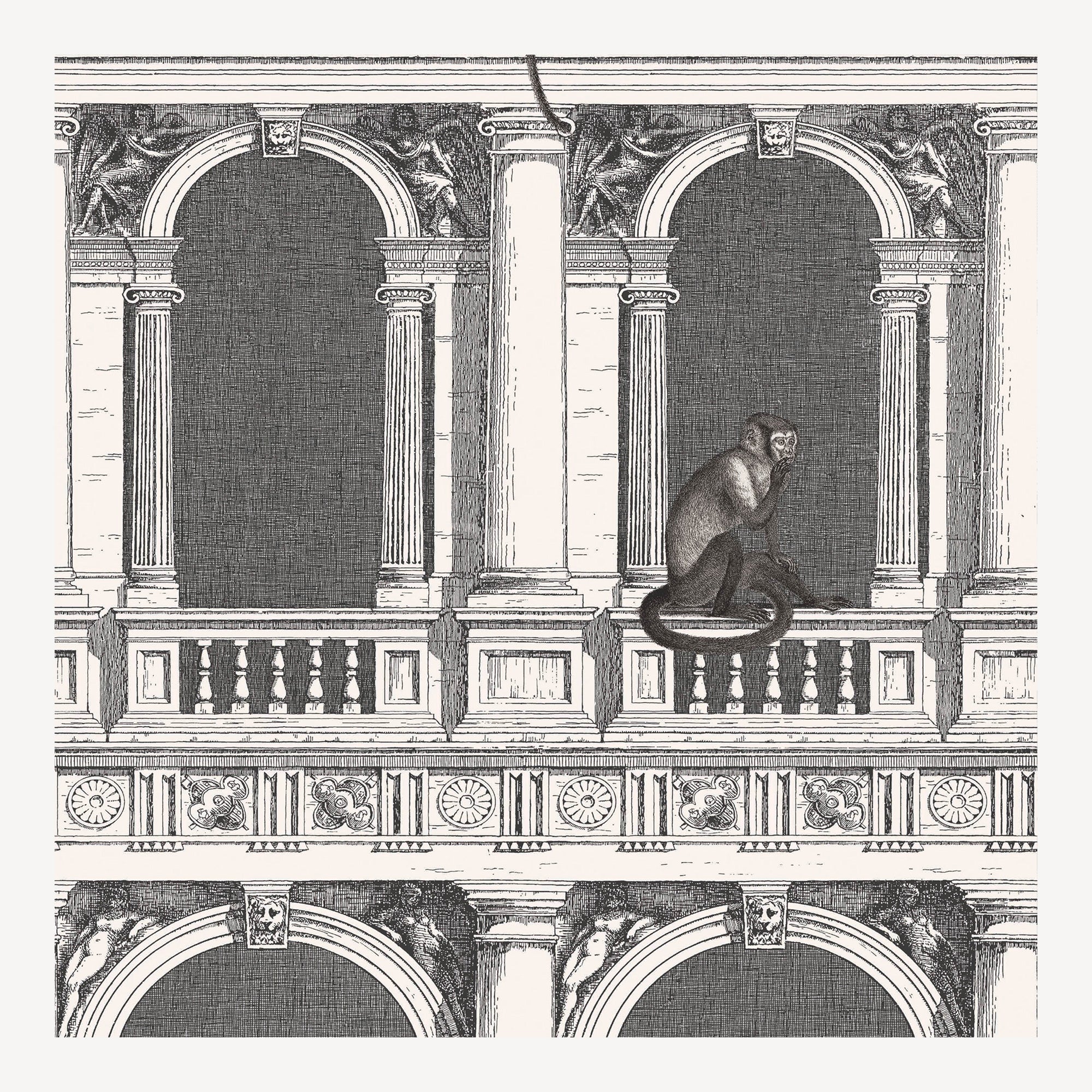 fornasetti-procuratie-e-scimmie-tapete-affen-arkaden-10m image 1