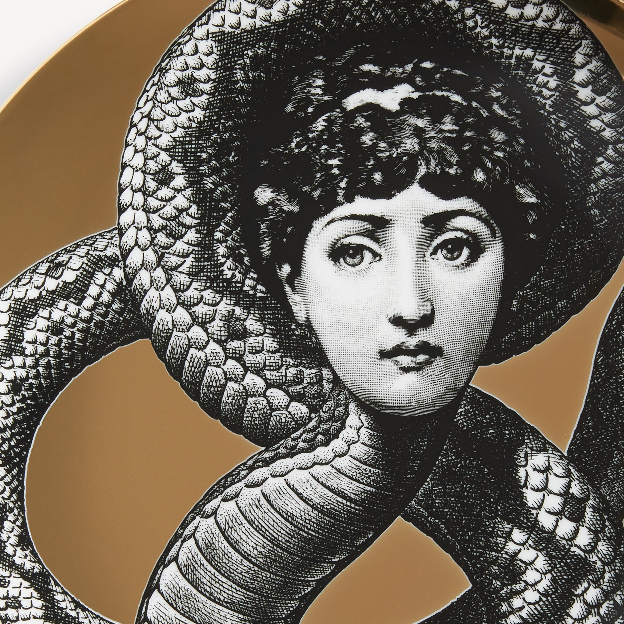 fornasetti-tema-e-variazioni-wandteller-n-198-gold-tiere image 4