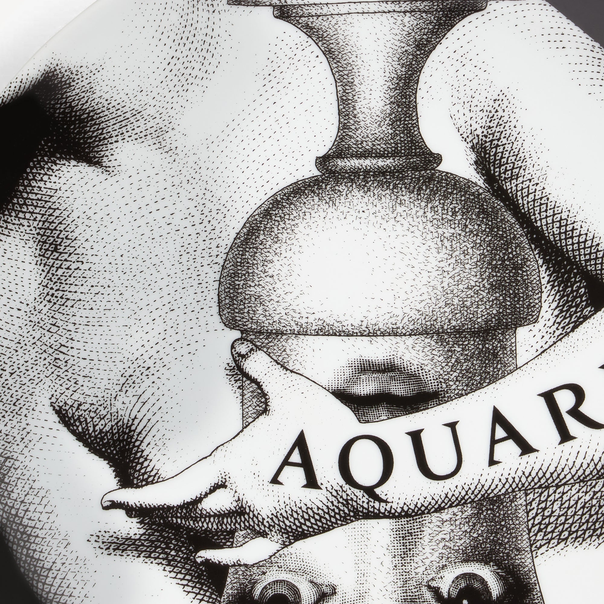 fornasetti-zodiaco-aquarius-n-358-wandteller-wassermann image 4