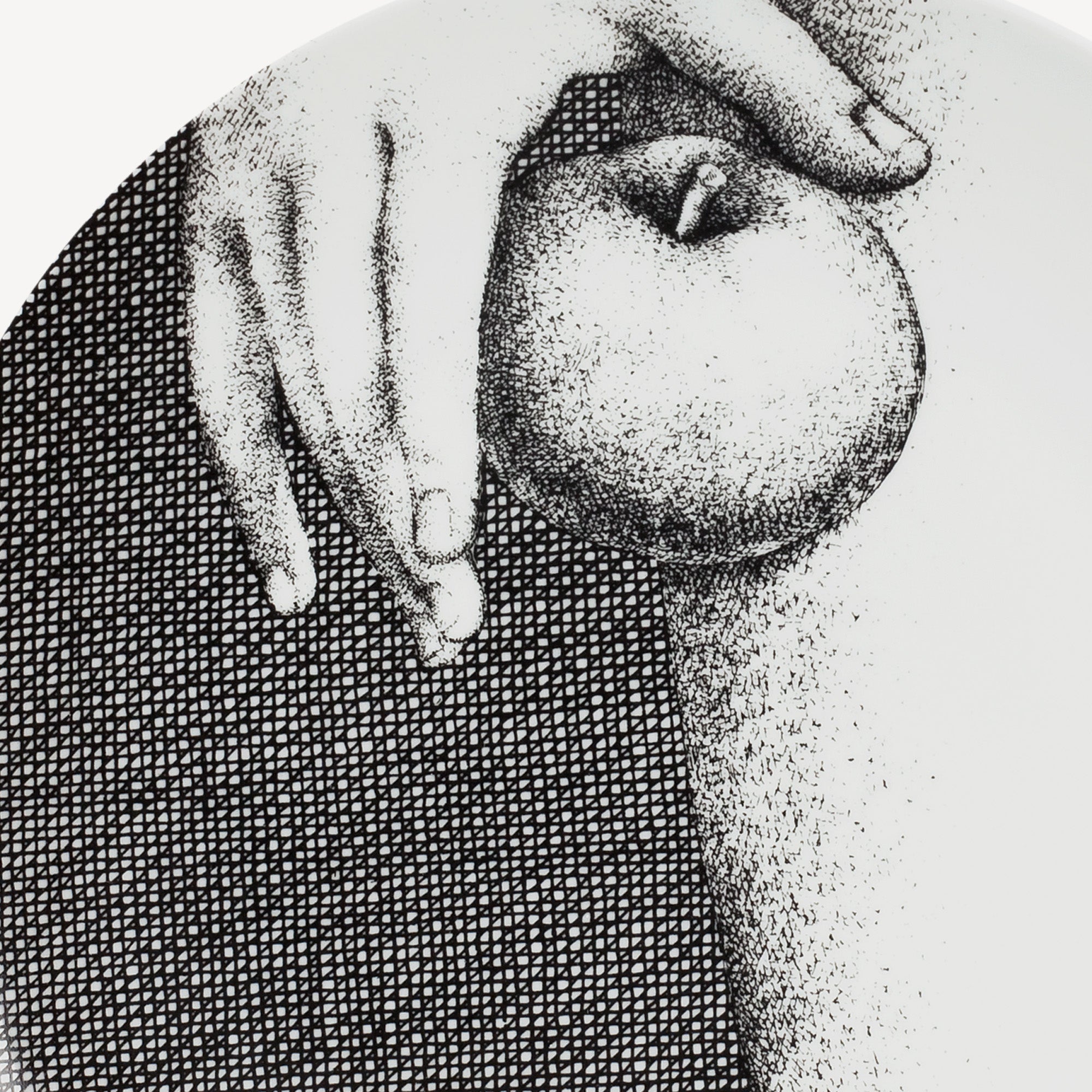fornasetti-eve-tellerset-12-teller-porzellan-wand image 3