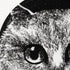 atelier-fornasetti-gatti-no-2-dekodose-katzenmotiv image 4