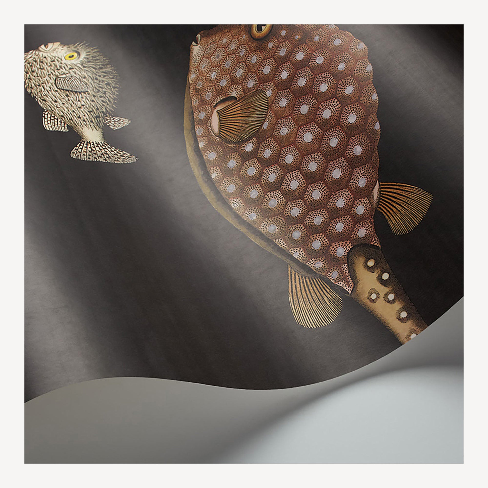 fornasetti-acquario-tapete-fische-10m-x-68-5cm image 4