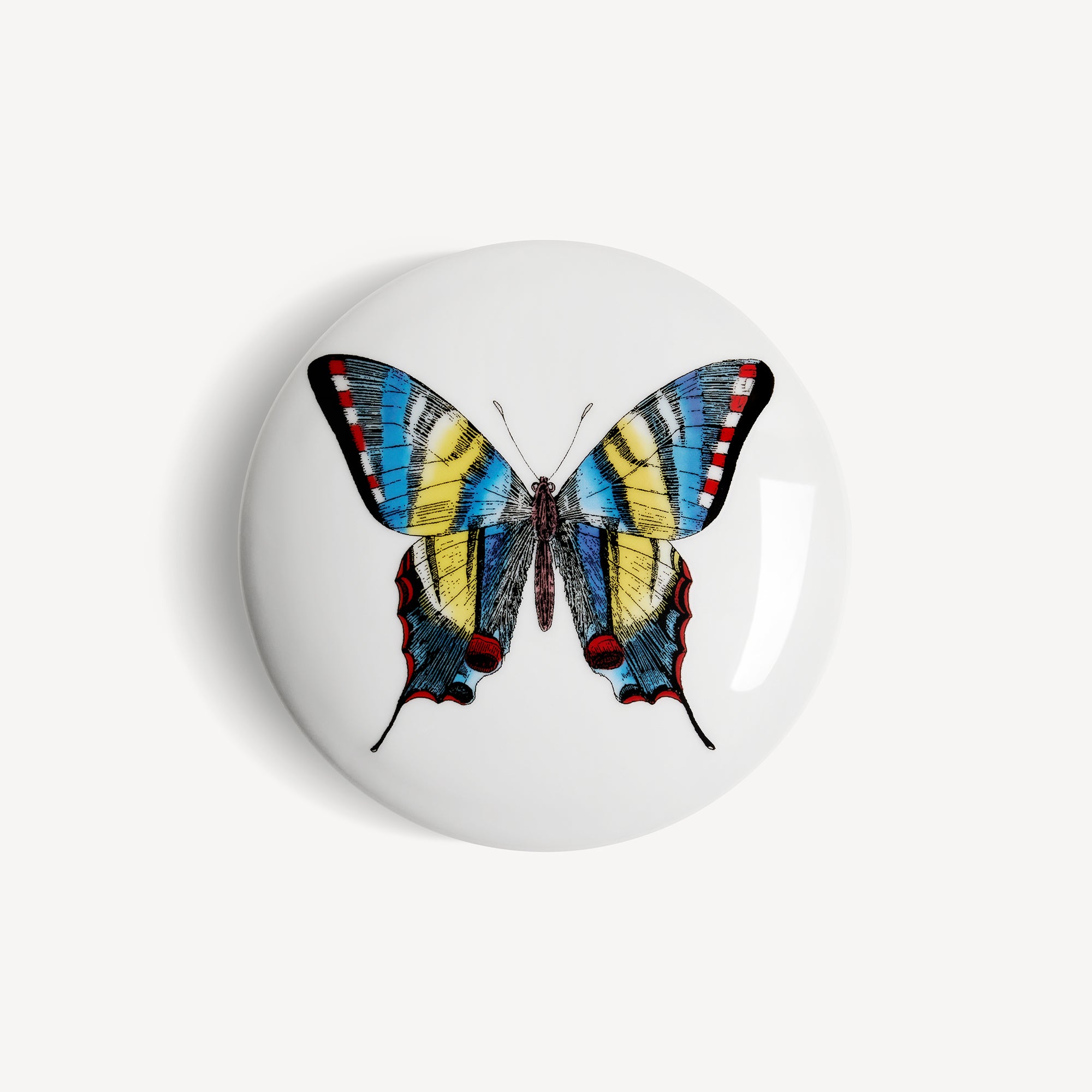 atelier-fornasetti-farfalle-round-box-porzellandose-schmetterling image 3