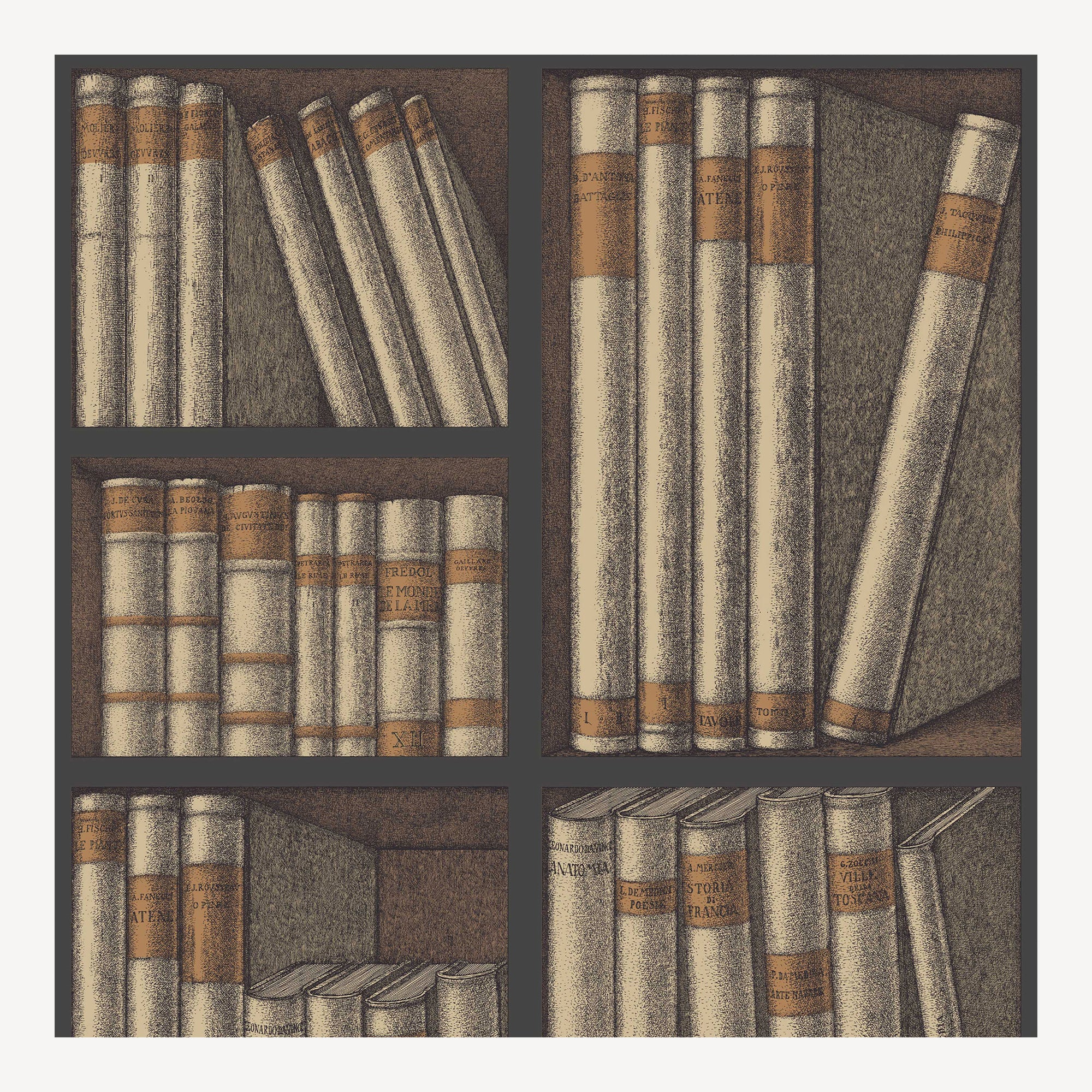 fornasetti-ex-libris-tapete-b-cher-52cm-x-10m-cole-son image 1