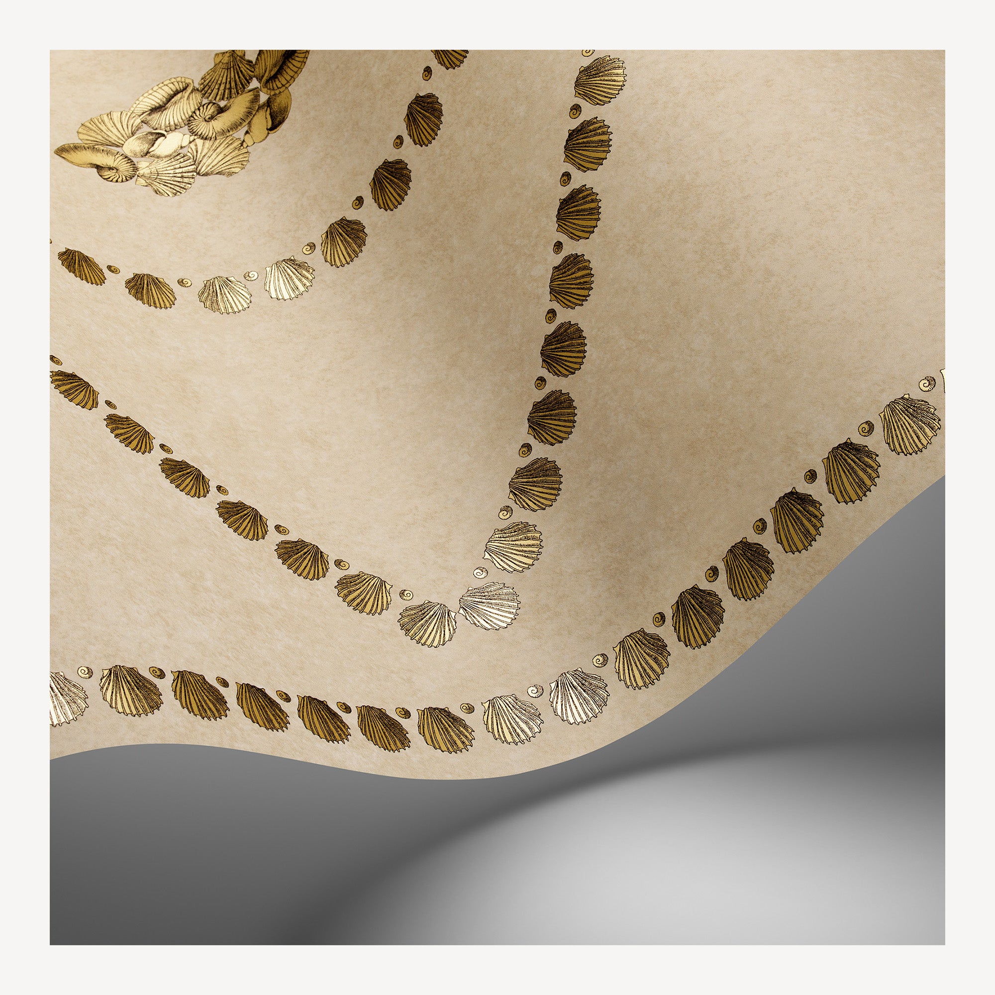 fornasetti-conchiglie-tapete-muscheln-68-5cm-x-10m image 2
