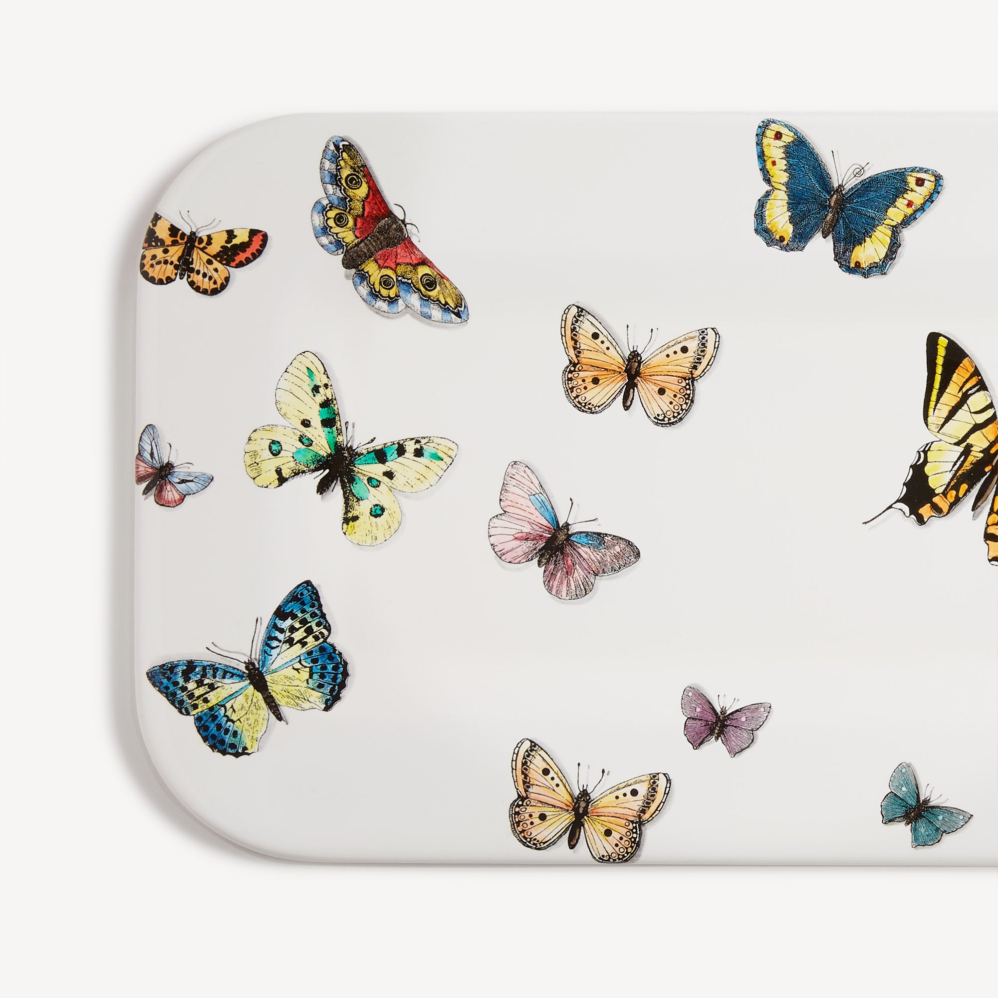 fornasetti-farfalle-tablett-schmetterling-lackiert image 4