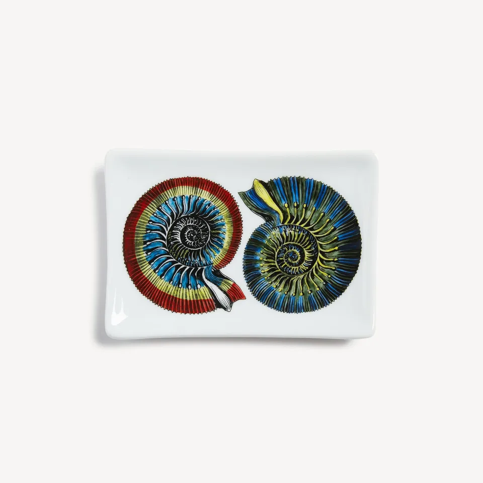 fornasetti-giro-di-conchiglie-aschenbecher-keramik-muschel image 1