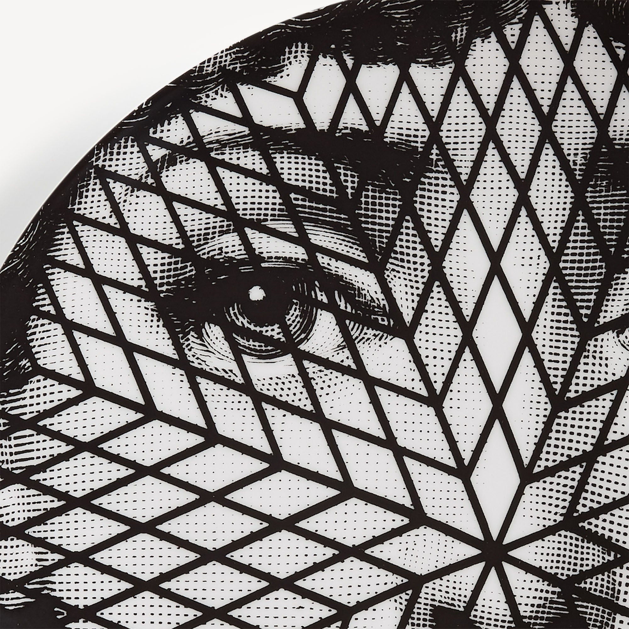 atelier-fornasetti-tema-e-variazioni-wandteller-n-294-porzellan image 4