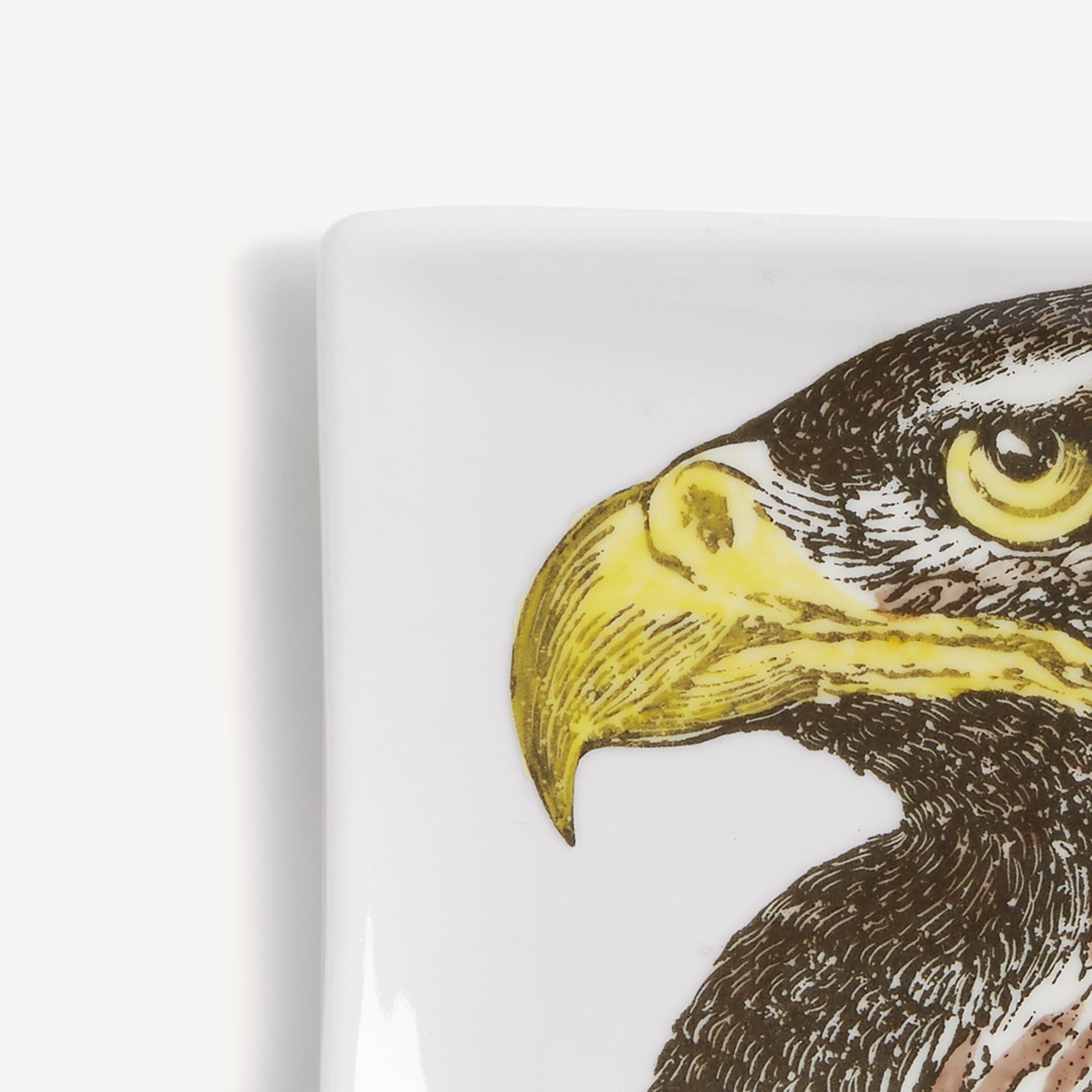 fornasetti-aschenbecher-aquila-porzellan-rechteckig-adler image 4