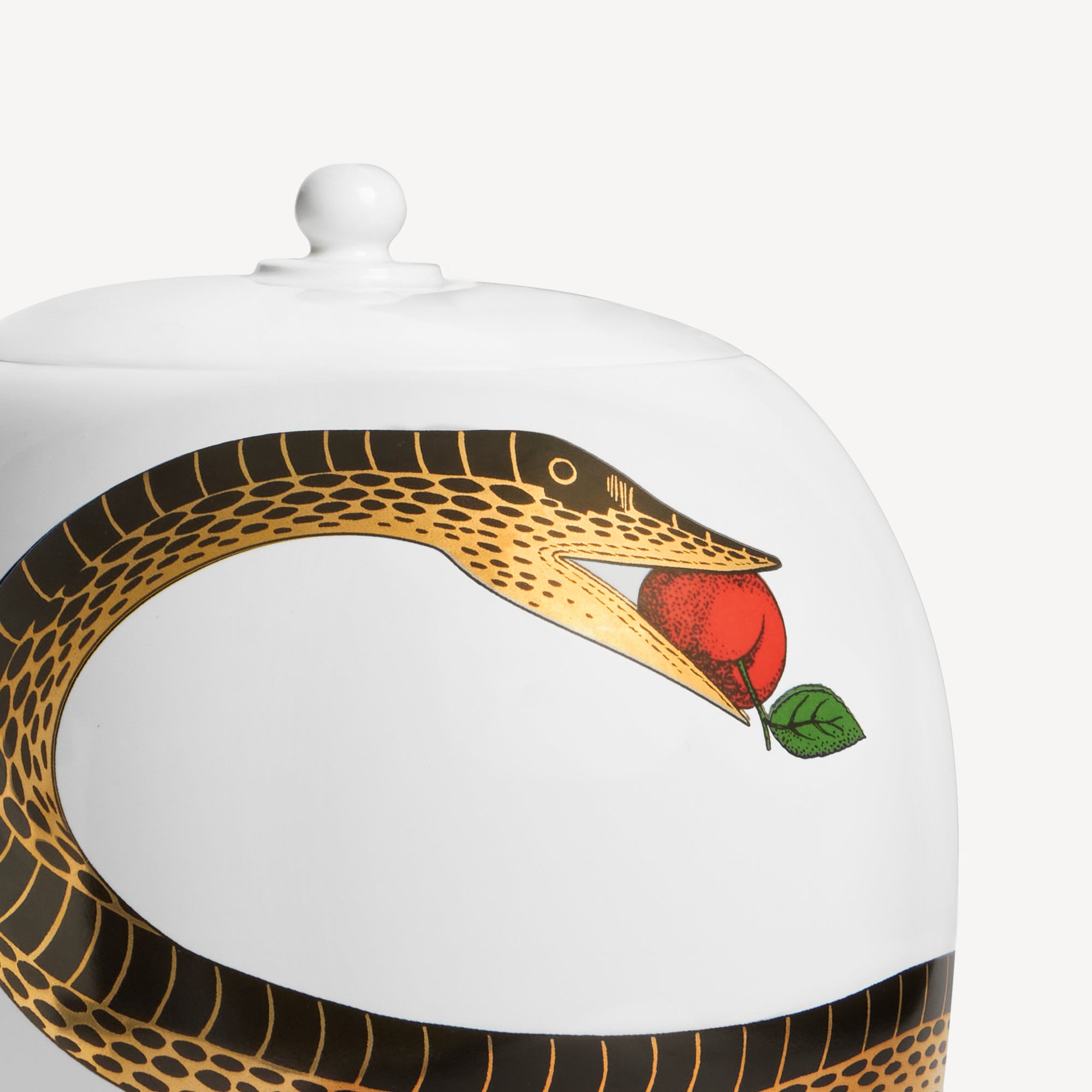 fornasetti-peccato-originale-vase-schlangenmotiv image 5