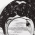 fornasetti-tema-e-variazioni-n-279-wandteller-lina-porzellan image 4