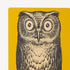 fornasetti-civetta-b-cherst-tzen-paar-metall-eulen image 3
