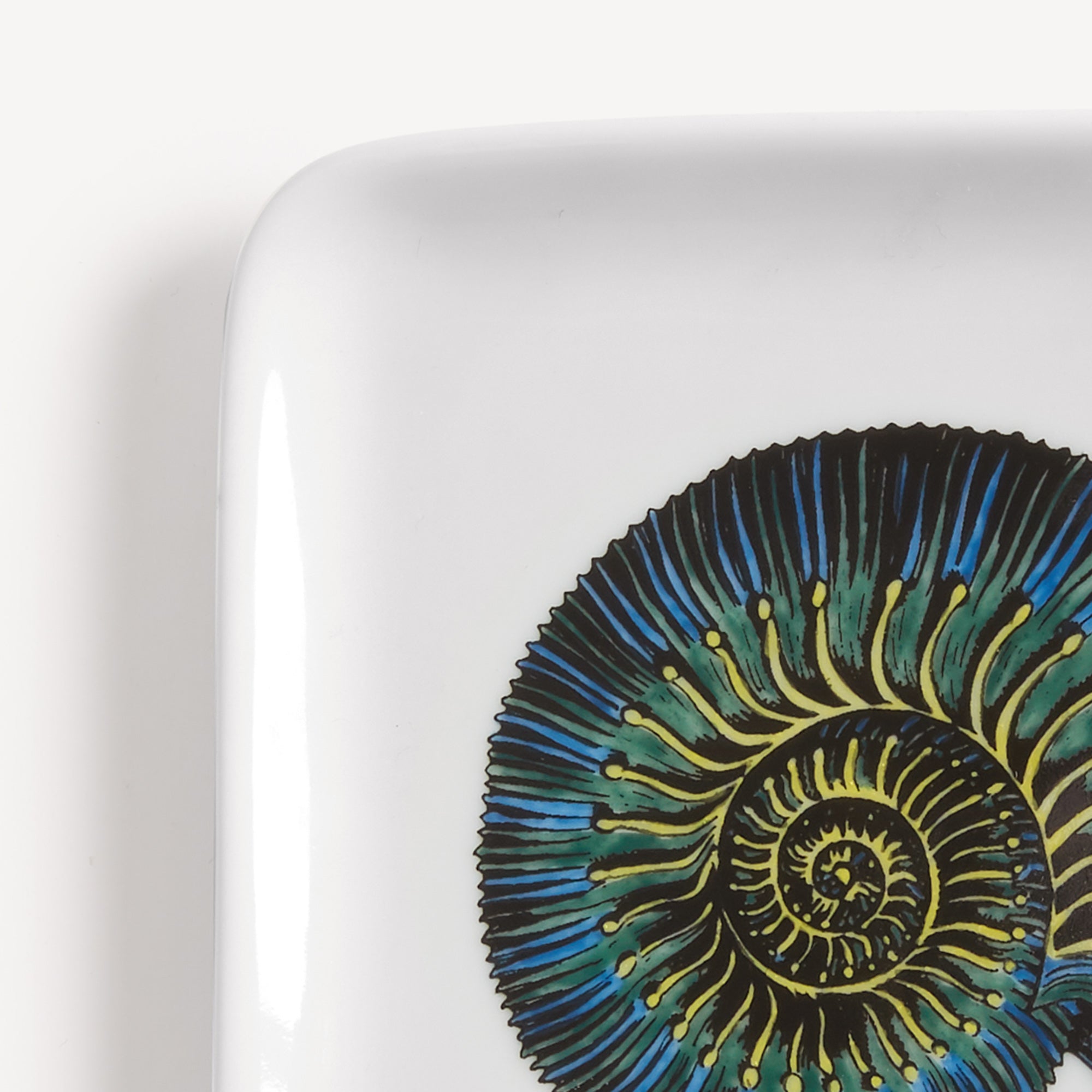 atelier-fornasetti-conchiglia-fossile-aschenbecher-keramik-muschel image 4