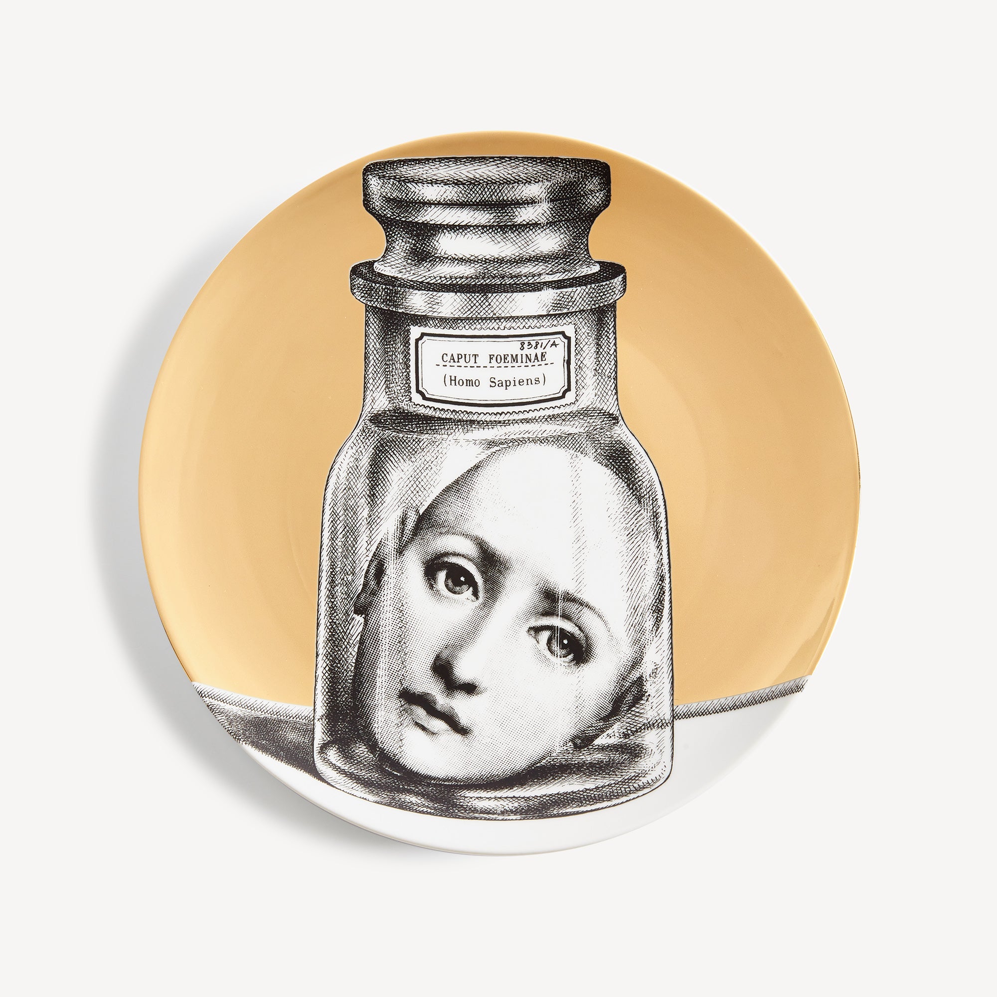 fornasetti-tema-e-variazioni-n-166-wandteller-gold-porzellan image 1