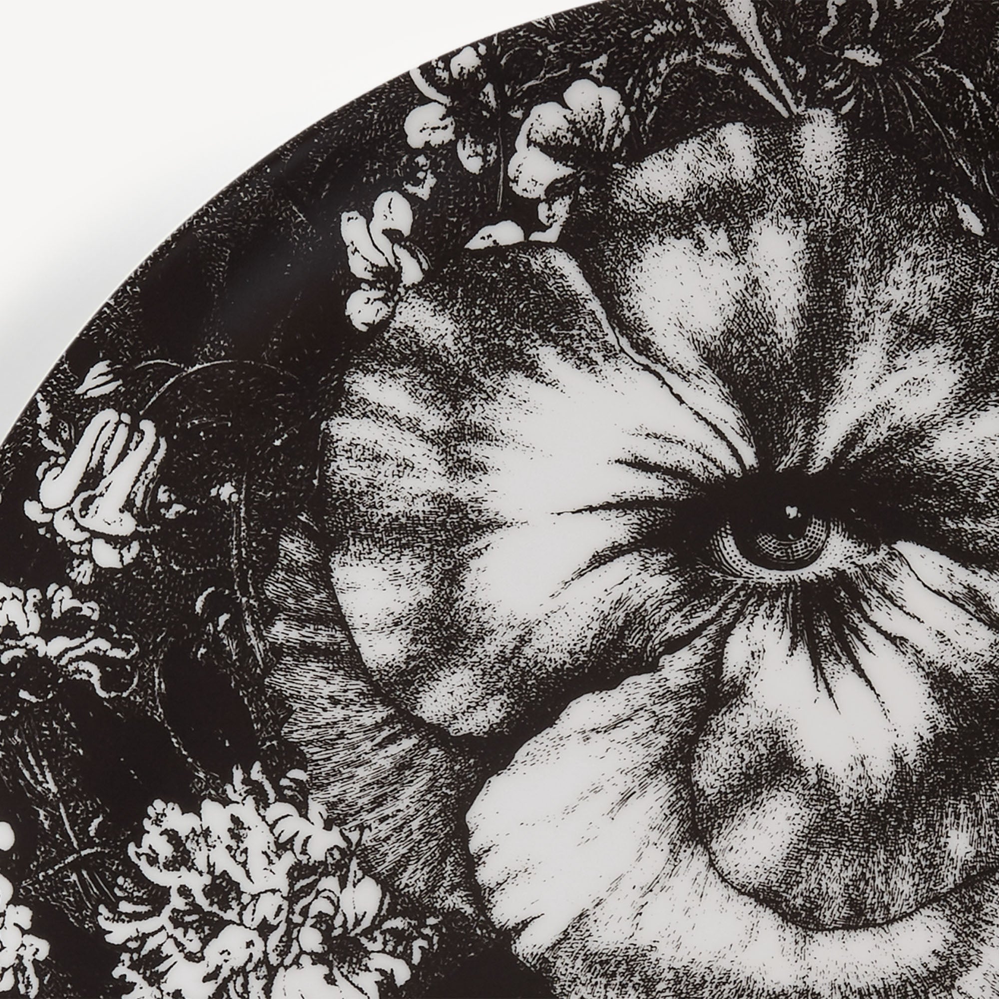 fornasetti-tema-e-variazioni-n-315-wandteller-porzellan image 4