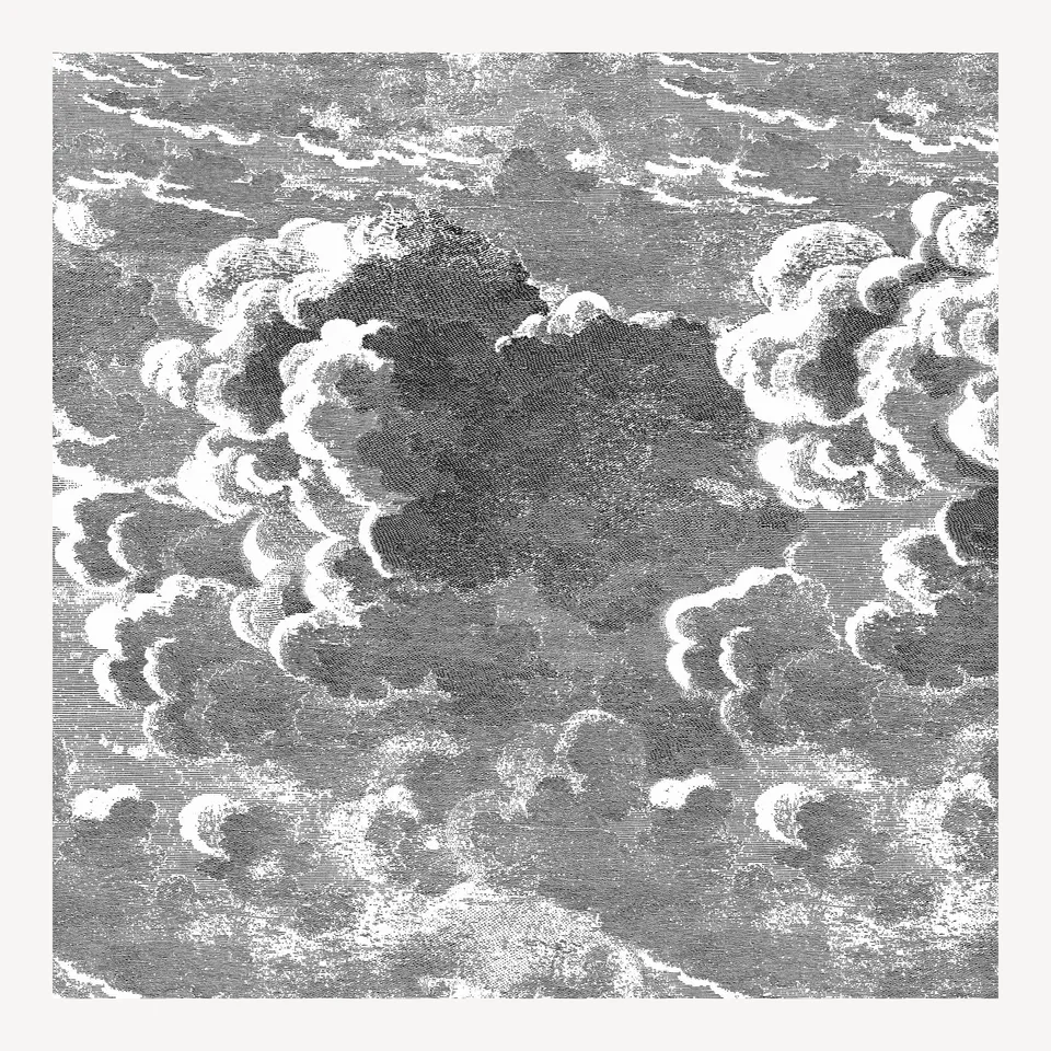 fornasetti-nuvolette-tapete-2-rollen-set-wolken image 1