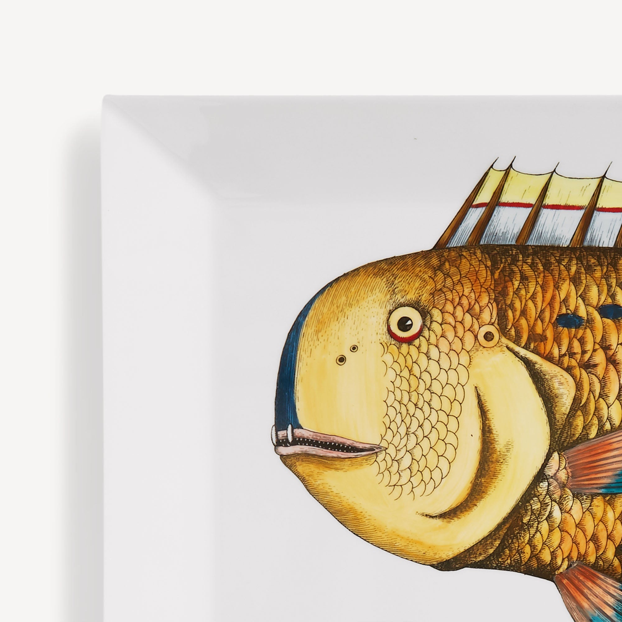 fornasetti-pesce-lampuga-tablett-quadratisch-porzellan image 4