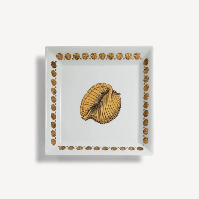 fornasetti-giro-di-conchiglie-vide-poche-ablageschale-eckig-muscheln image 1