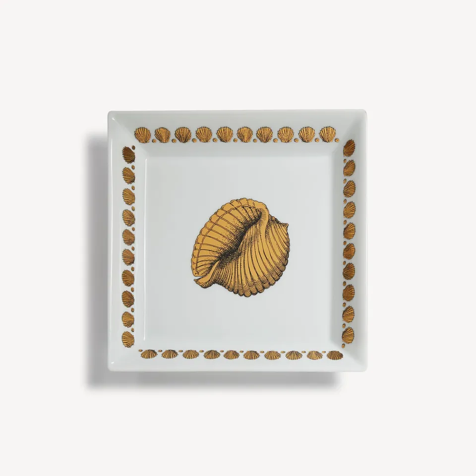 fornasetti-giro-di-conchiglie-vide-poche-ablageschale-eckig-muscheln image 1