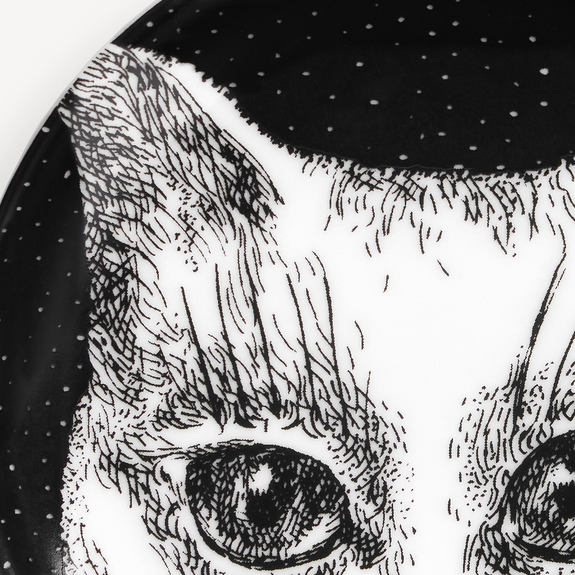 fornasetti-gatti-no-6-deko-schale-katzenmotiv image 4