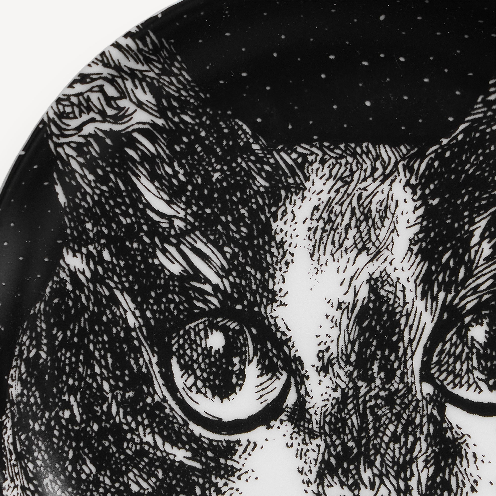 atelier-fornasetti-gatti-n-1-schale-porzellan-katze-klein image 4
