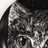 atelier-fornasetti-gatti-n-4-deko-beh-lter-katze image 4