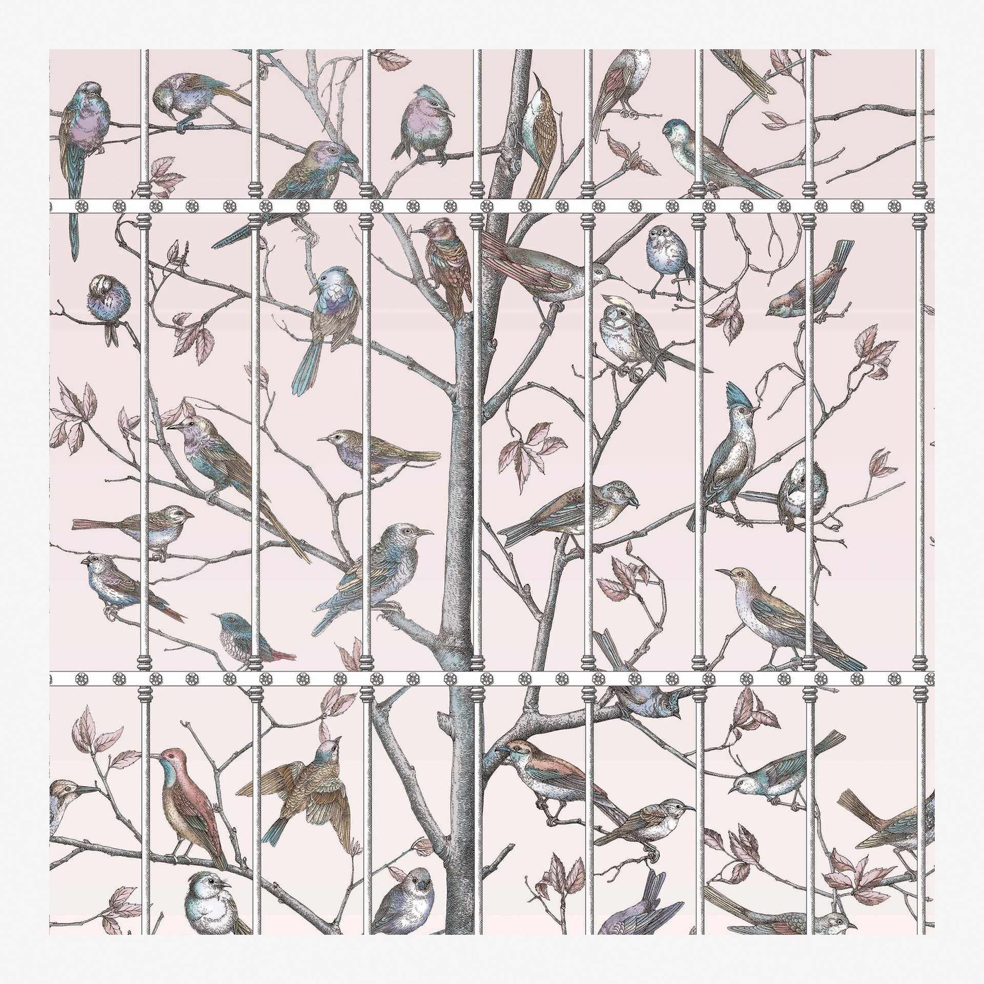 fornasetti-uccelli-tapete-v-gel-104x240-cm-rolle image 1