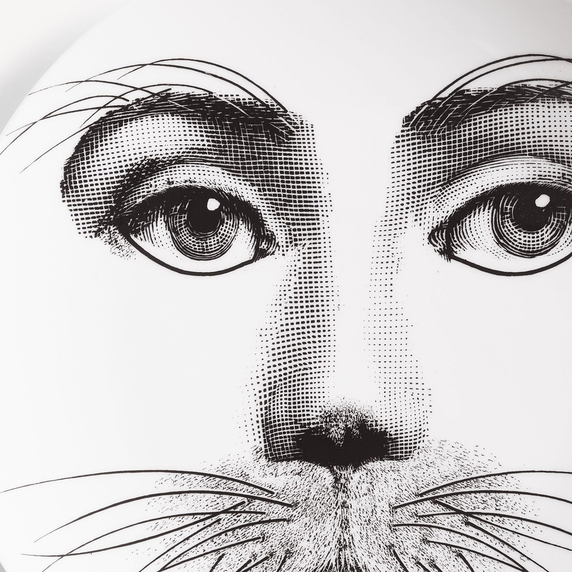 fornasetti-tema-e-variazioni-n-311-wandteller-porzellan-gesicht image 4