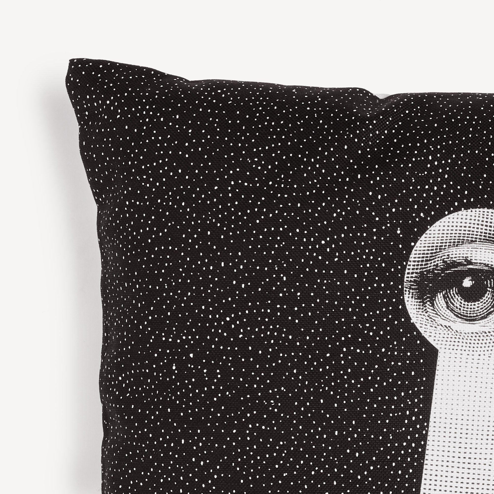 fornasetti-chiave-e-serratura-kissen-cavalieri-motiv image 4