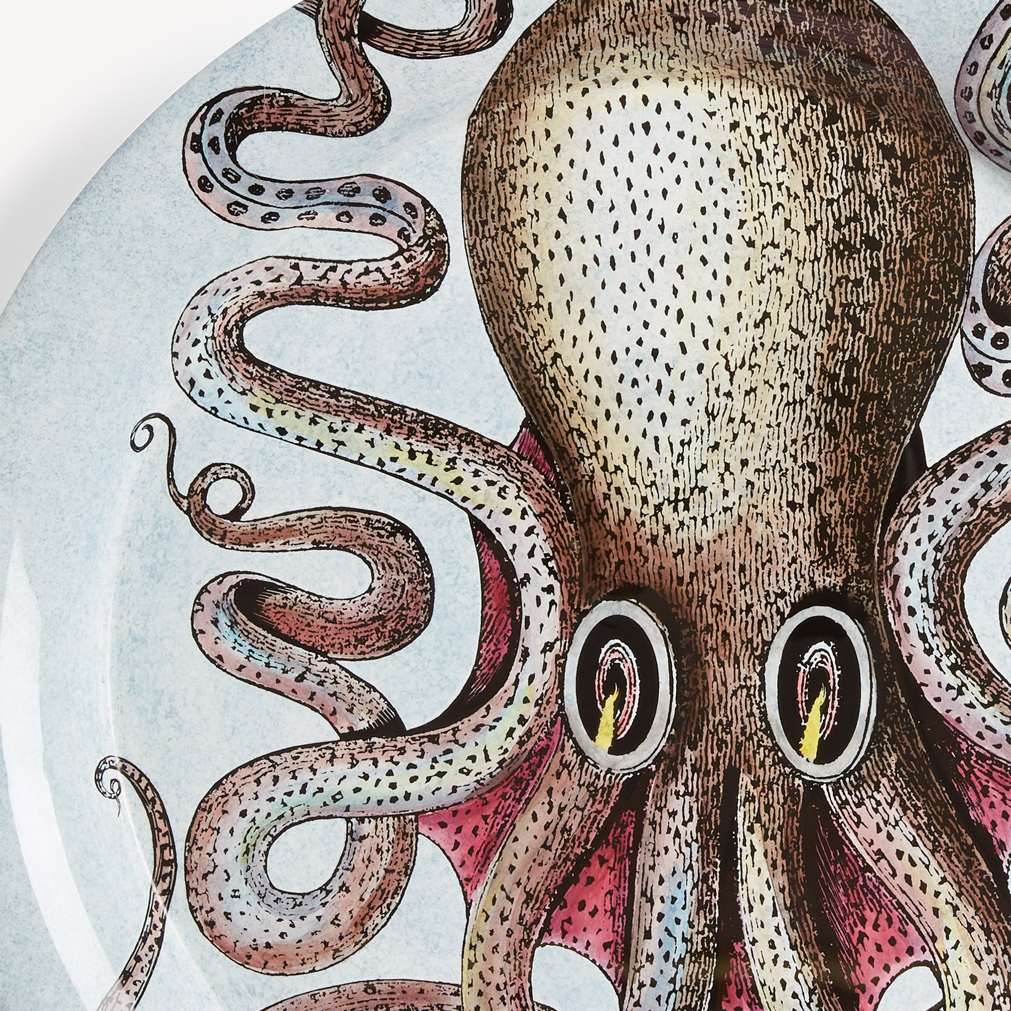 atelier-fornasetti-tray-polipo-tablett-oktopus-rund image 4