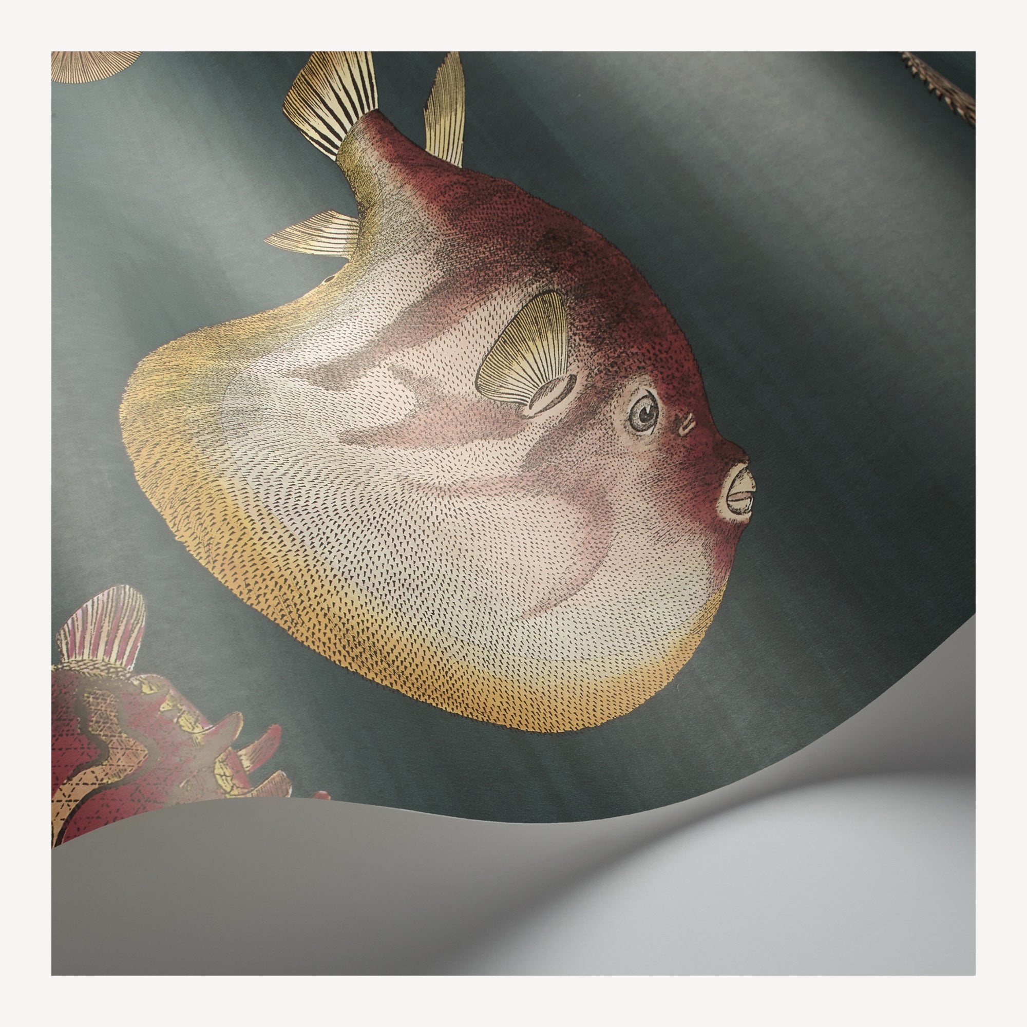atelier-fornasetti-acquario-tapete-fisch-68-5cm-x-10m-2 image 3