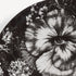 fornasetti-tema-e-variazioni-wandteller-n-315-porzellan-sammler image 4
