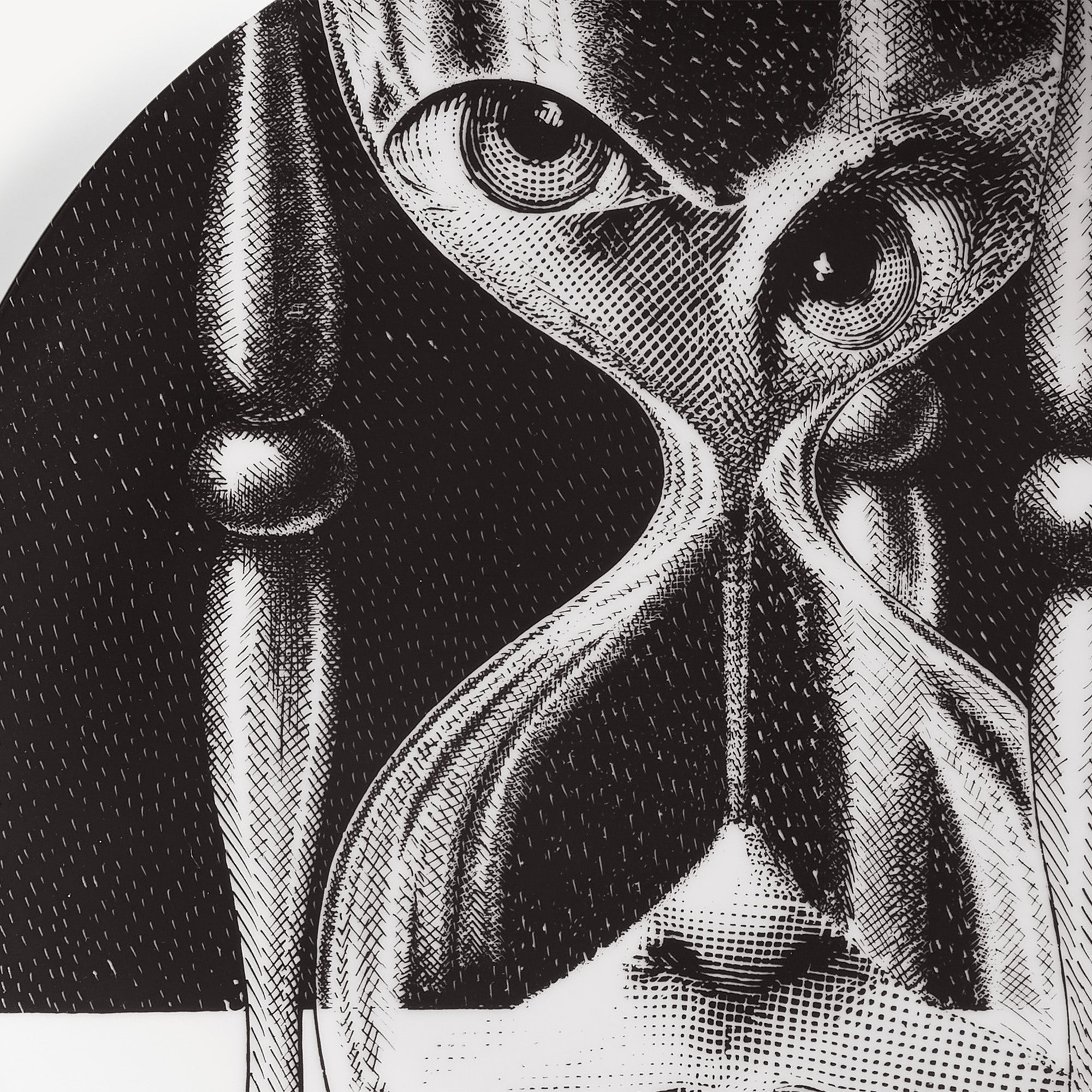 atelier-fornasetti-tema-e-variazioni-wandteller-n-184-porzellan image 4
